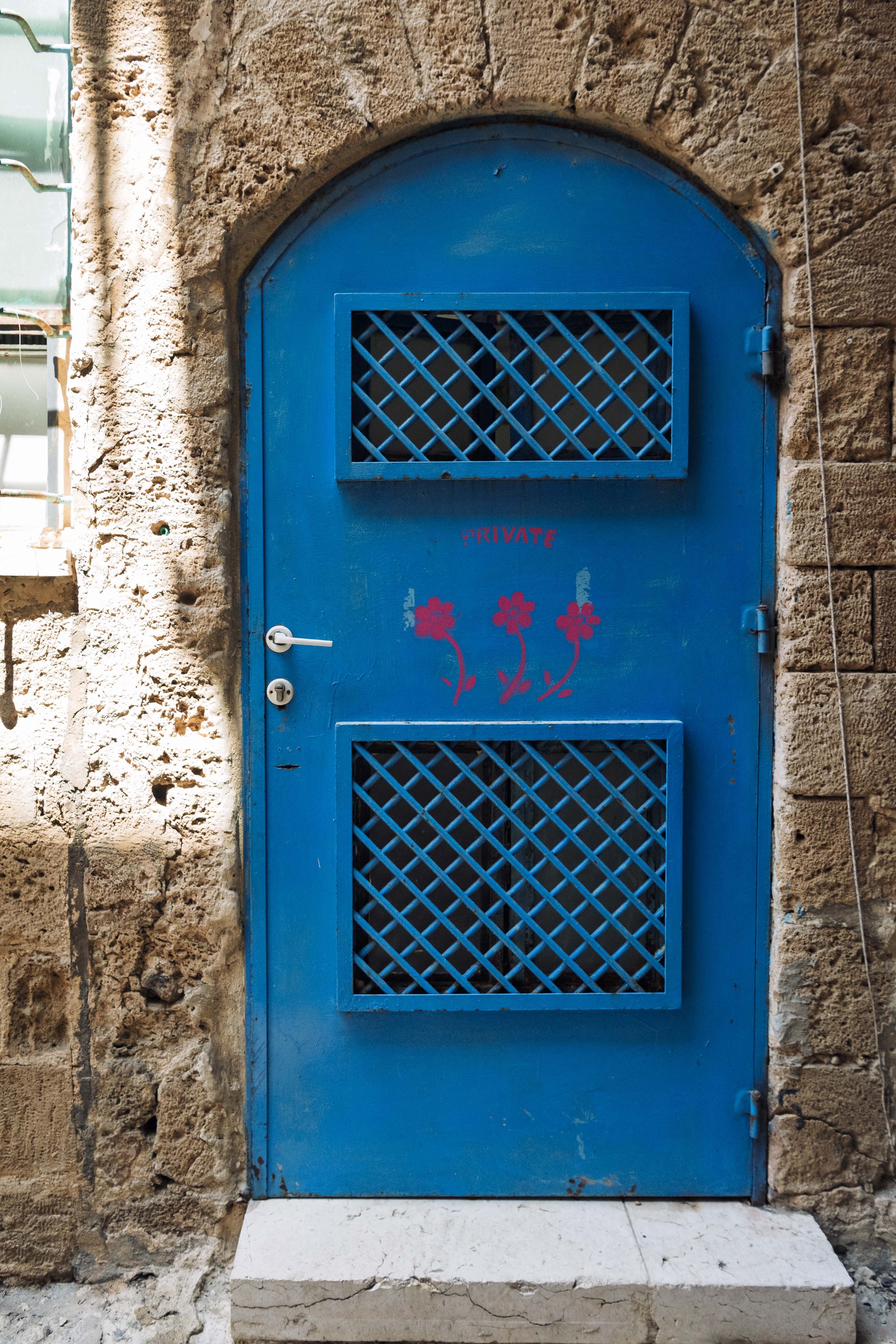 Doors photograph 10