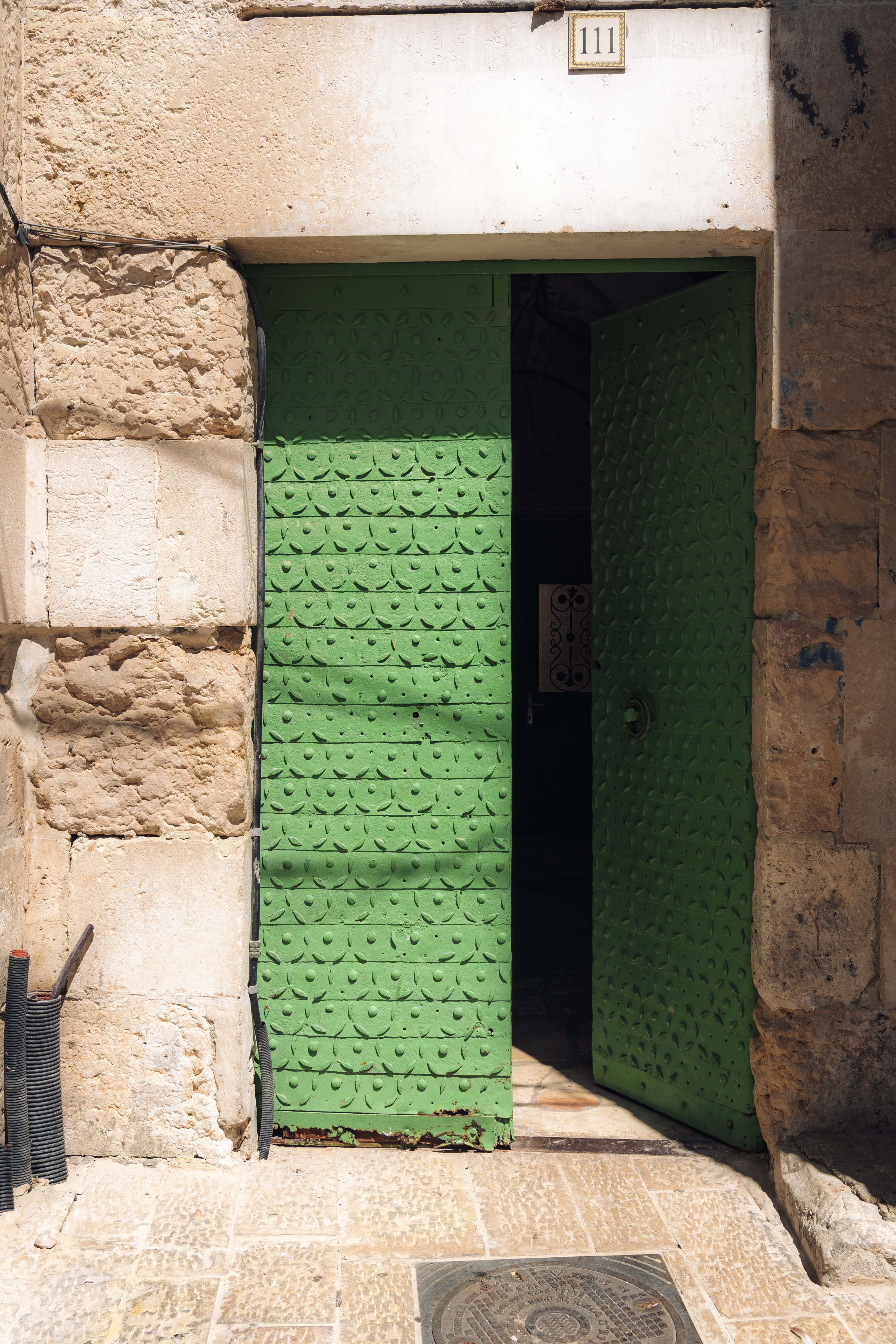Doors photograph 12