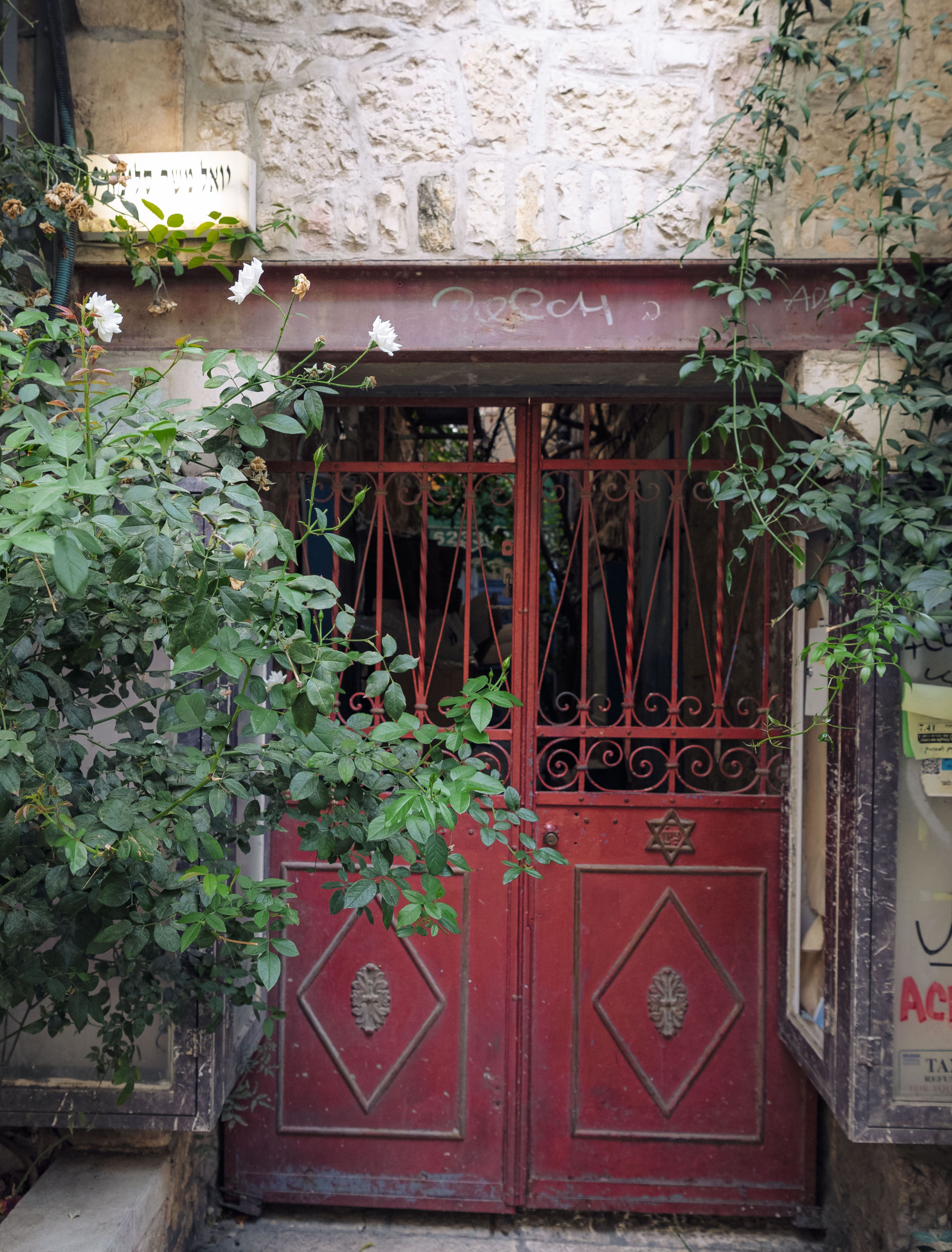 Doors photograph 18