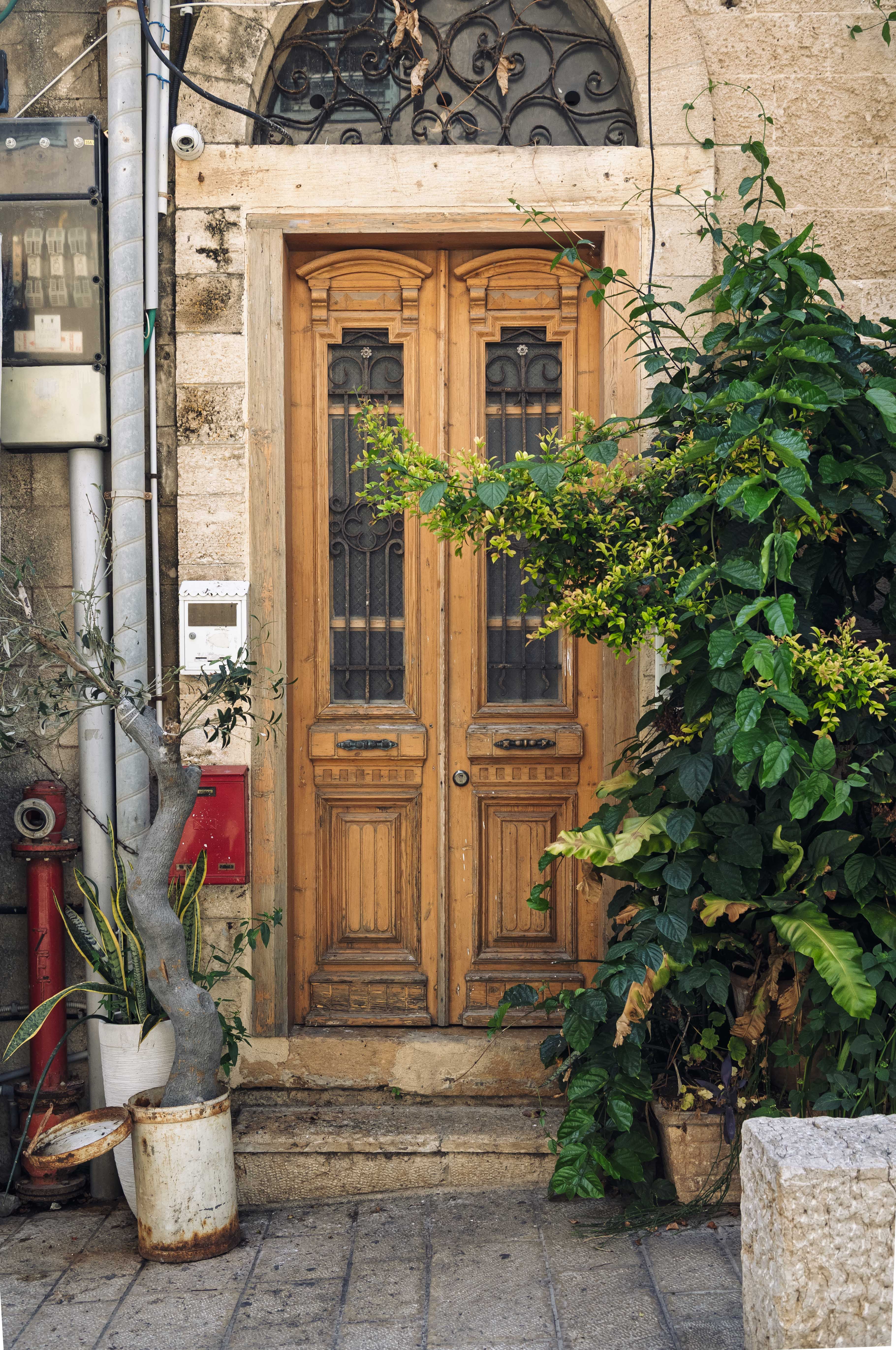 Doors photograph 3