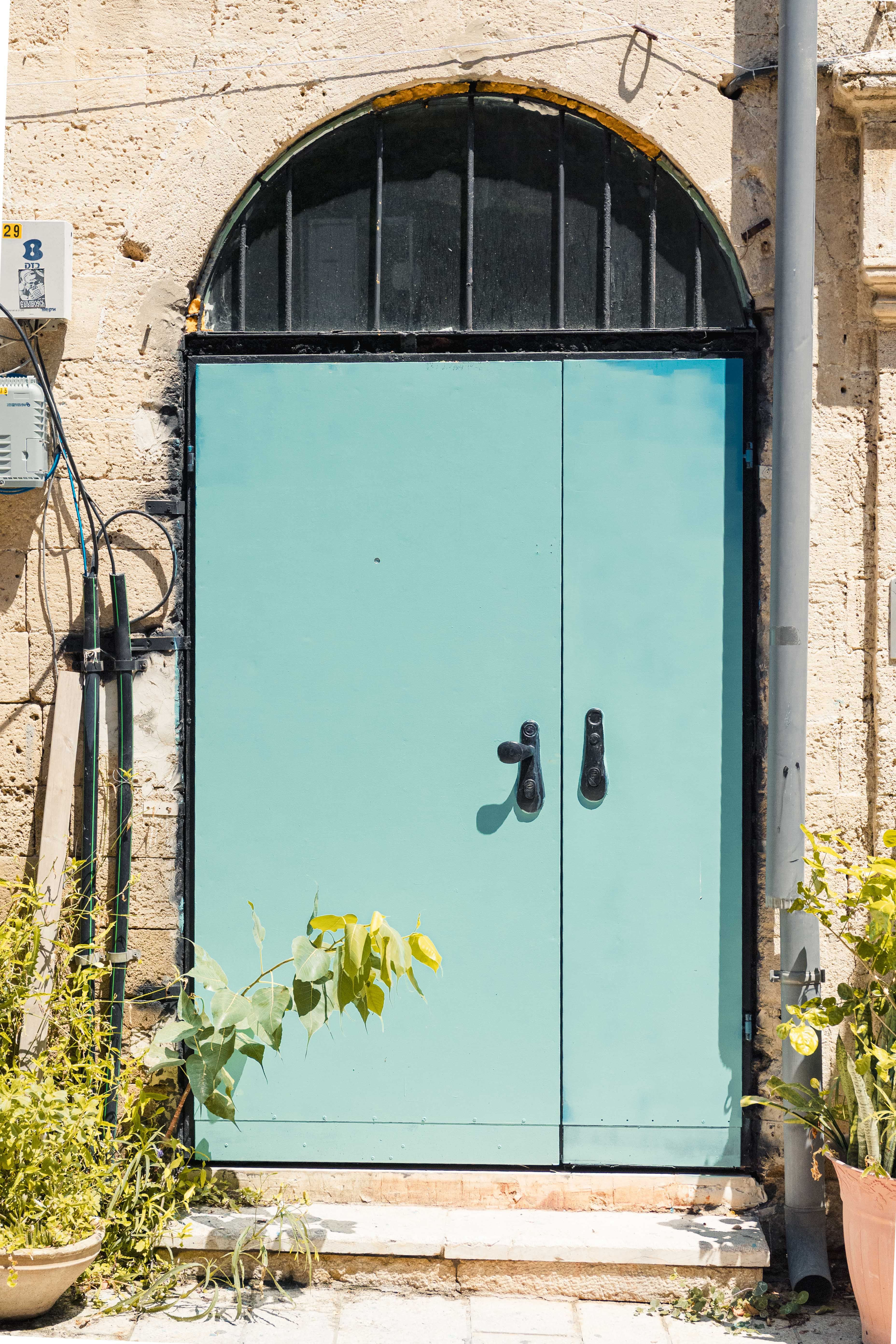 Doors photograph 4