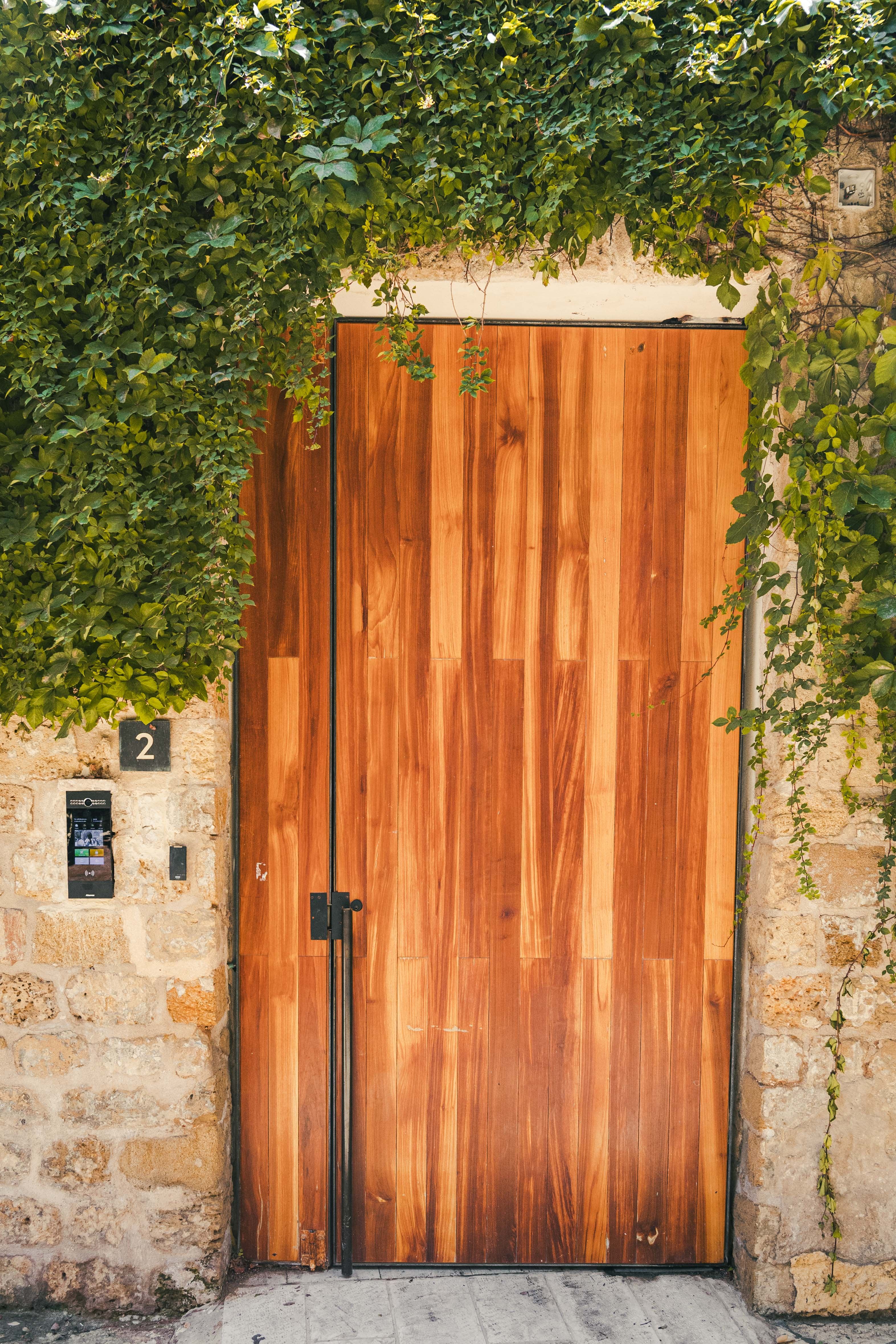 Doors photograph 6