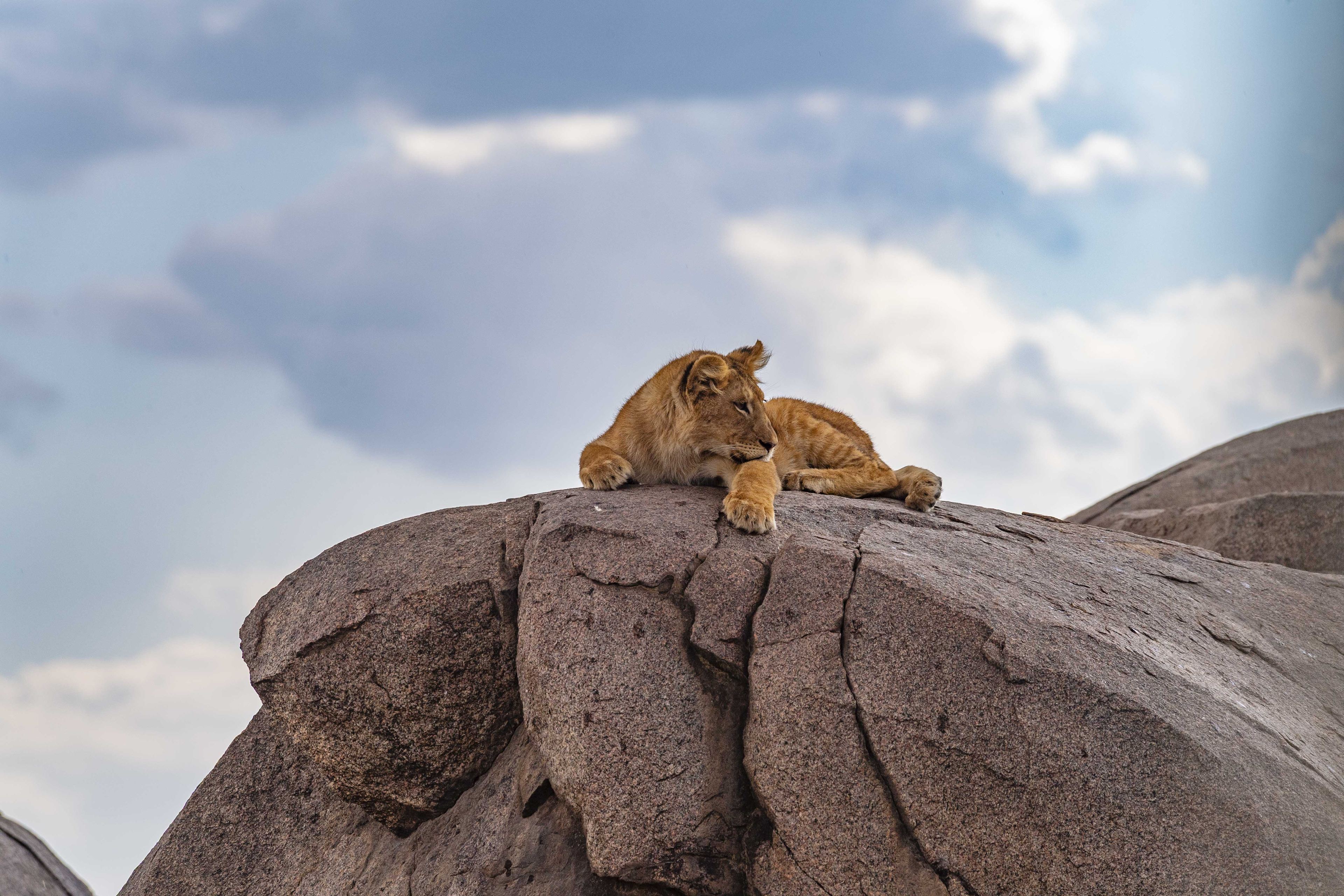 Nature and Wildlife photograph 12