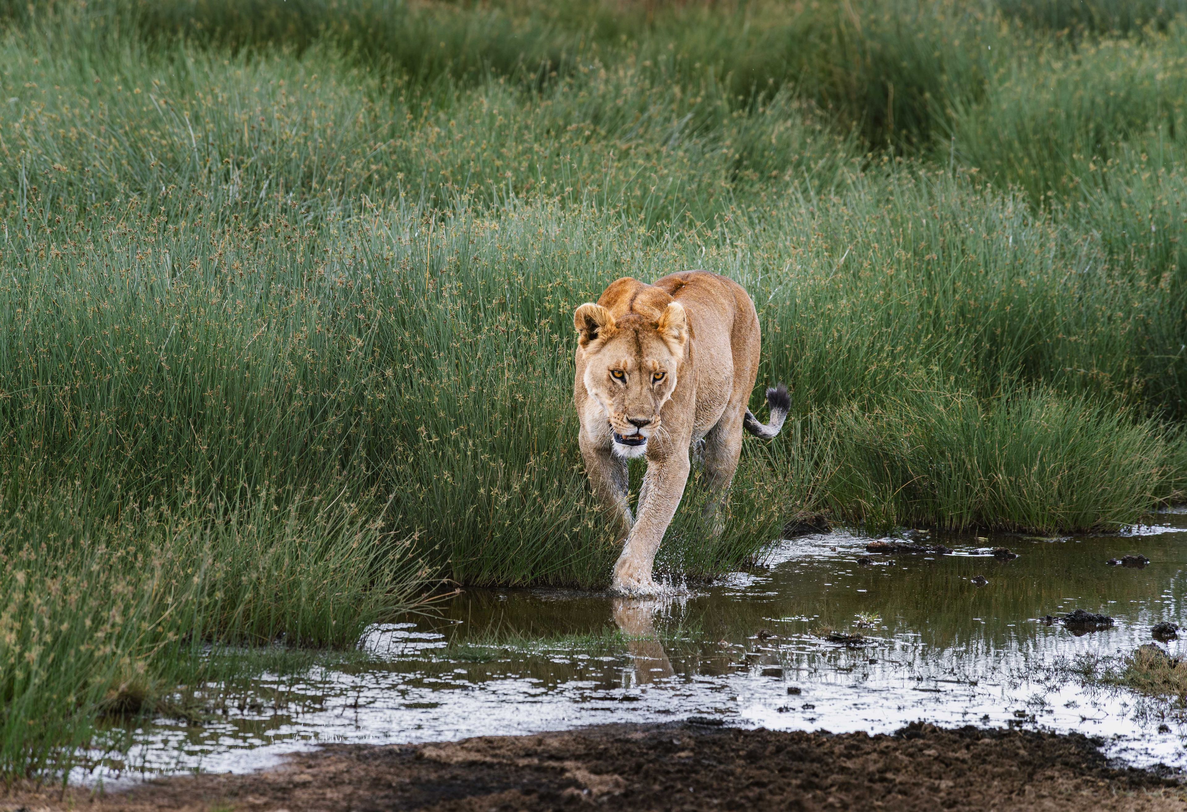 Nature and Wildlife photograph 13