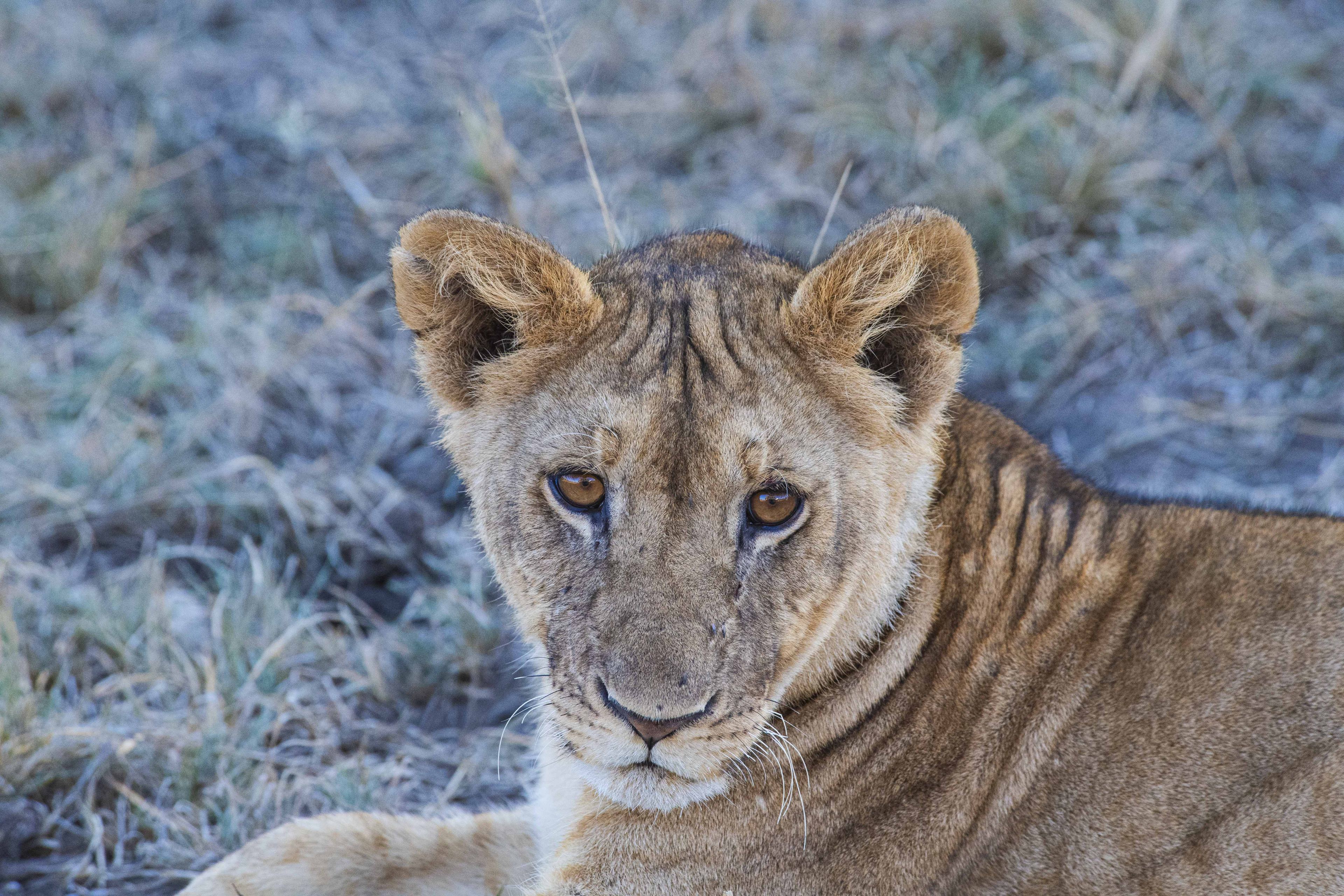 Nature and Wildlife photograph 15