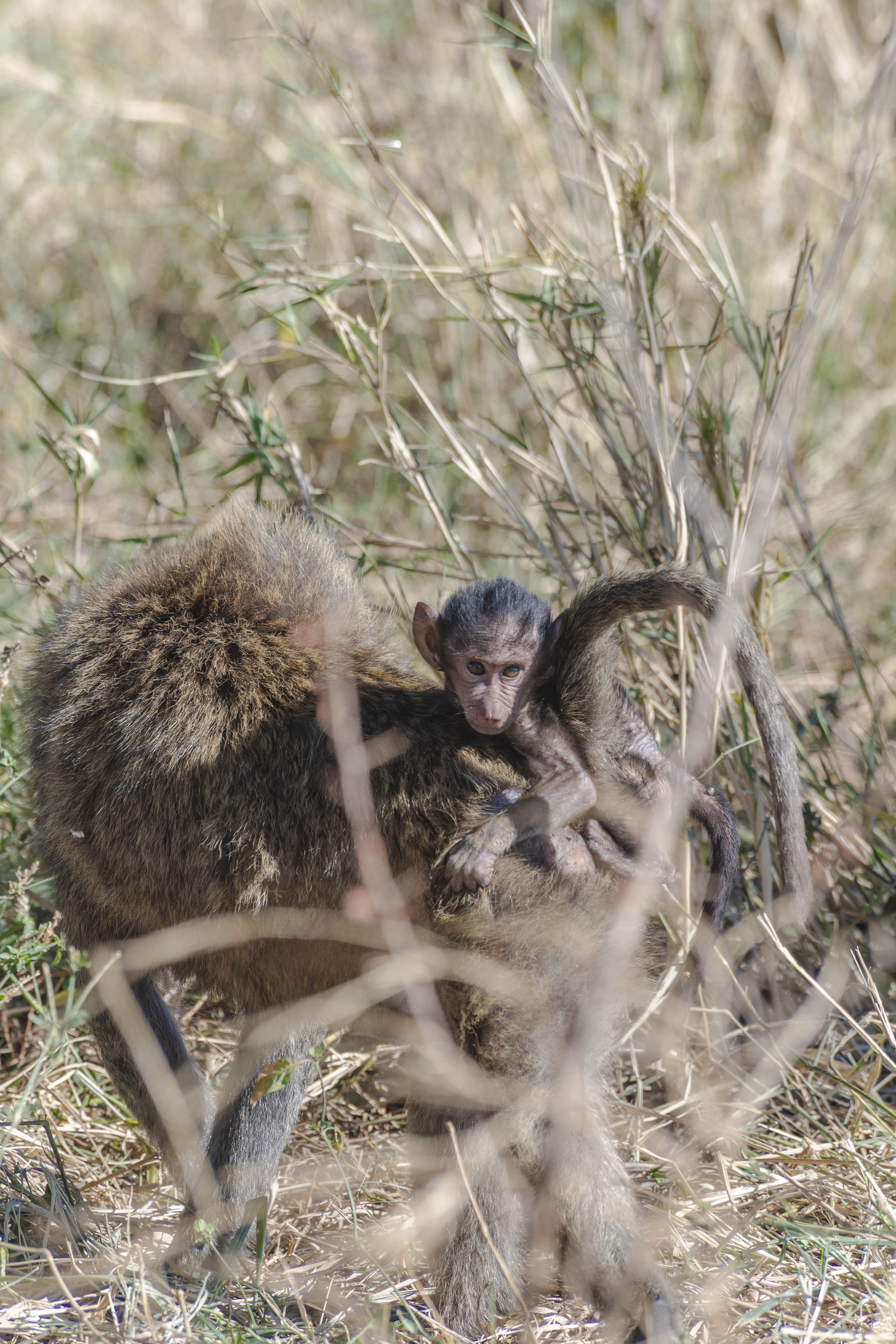 Nature and Wildlife photograph