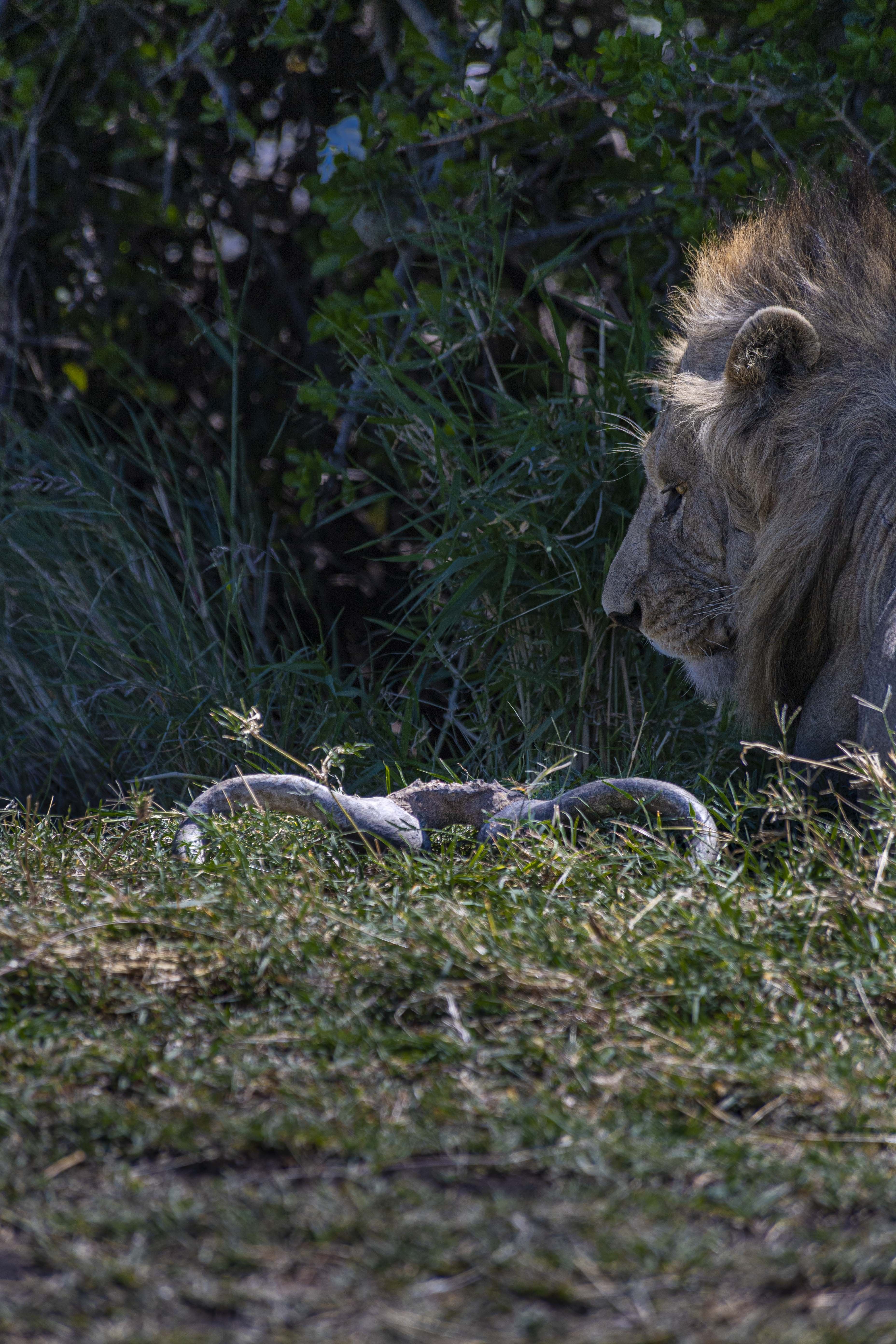 Nature and Wildlife photograph 18