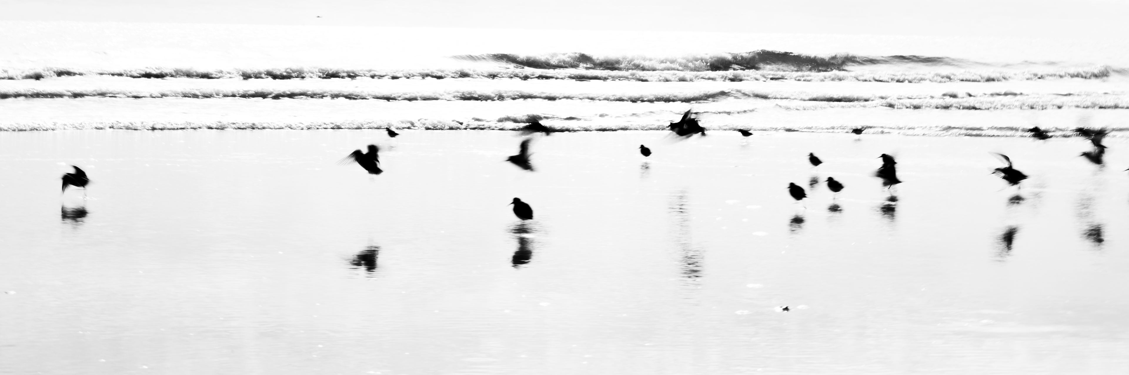 Nature and Wildlife photograph 2