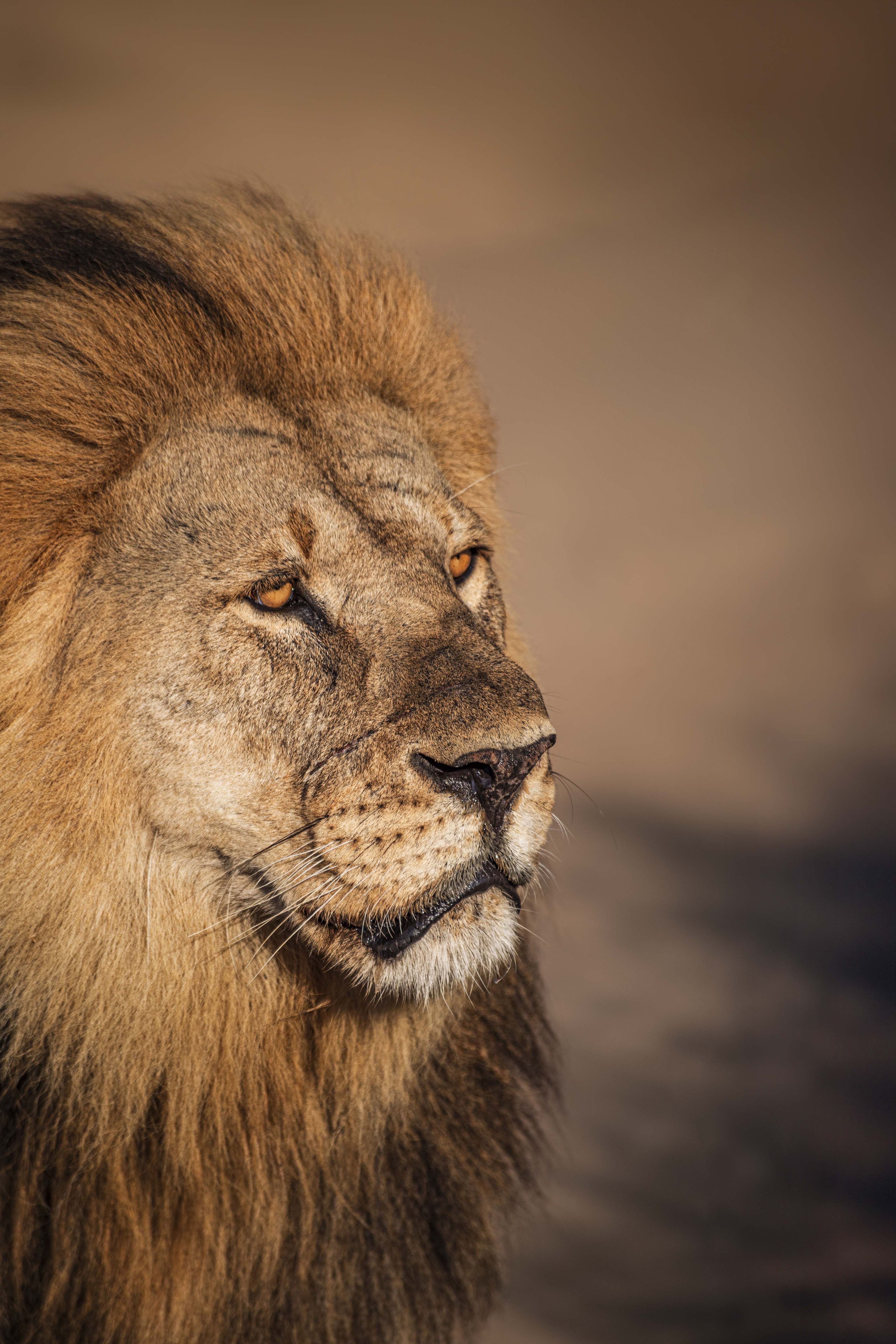 Nature and Wildlife photograph 20