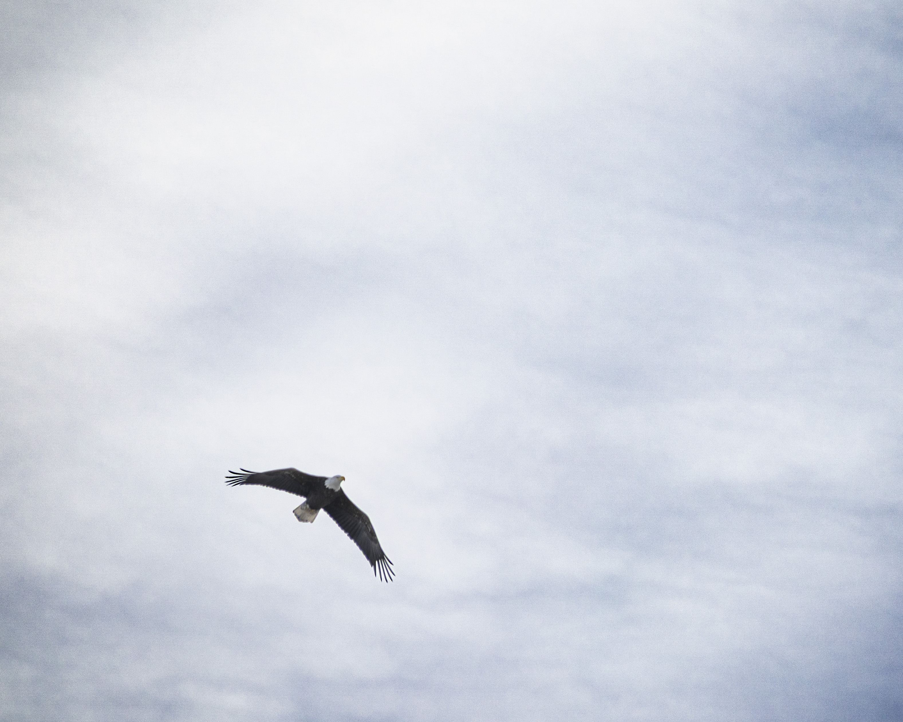 Nature and Wildlife photograph 23