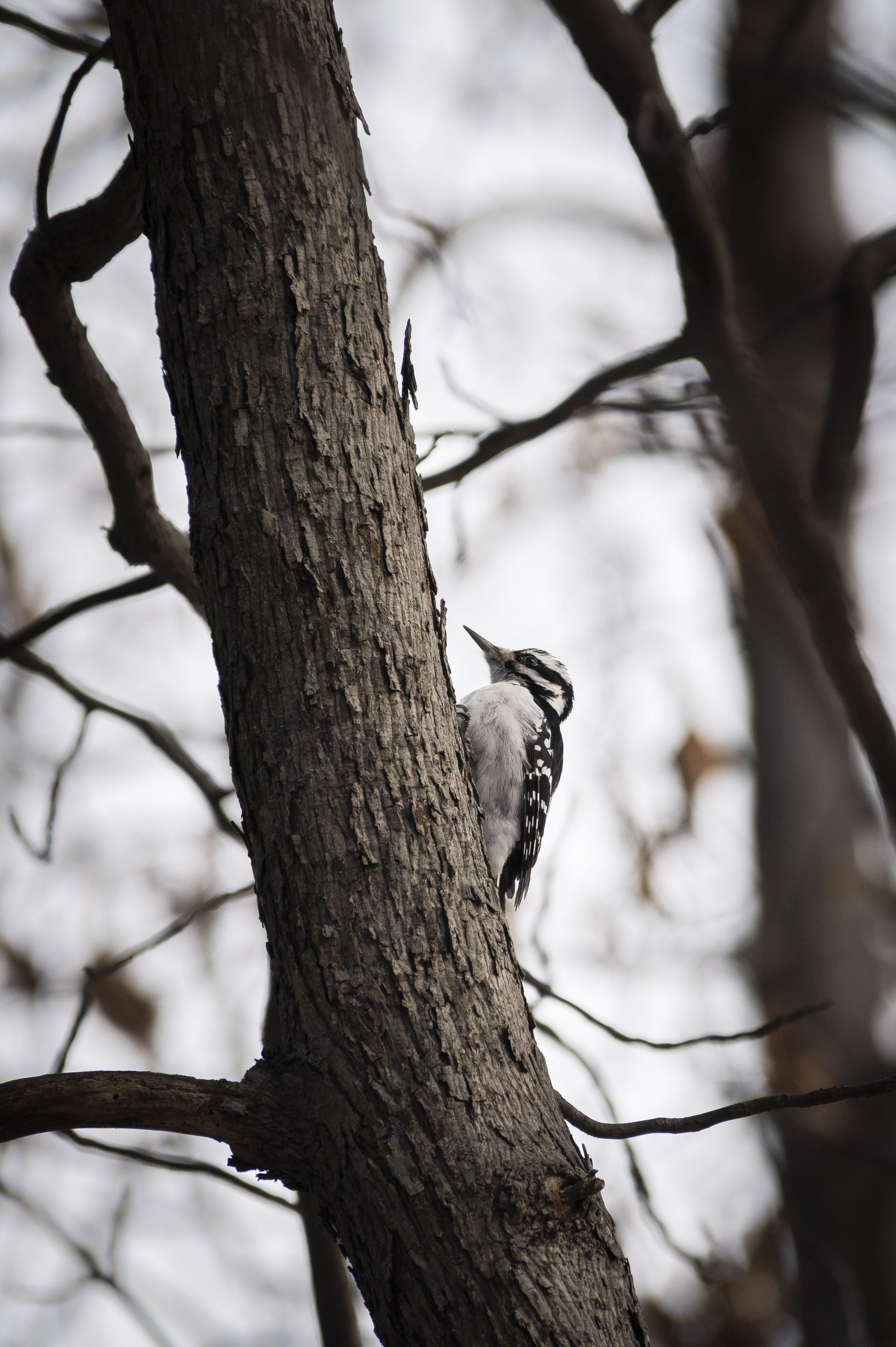 Nature and Wildlife photograph 24