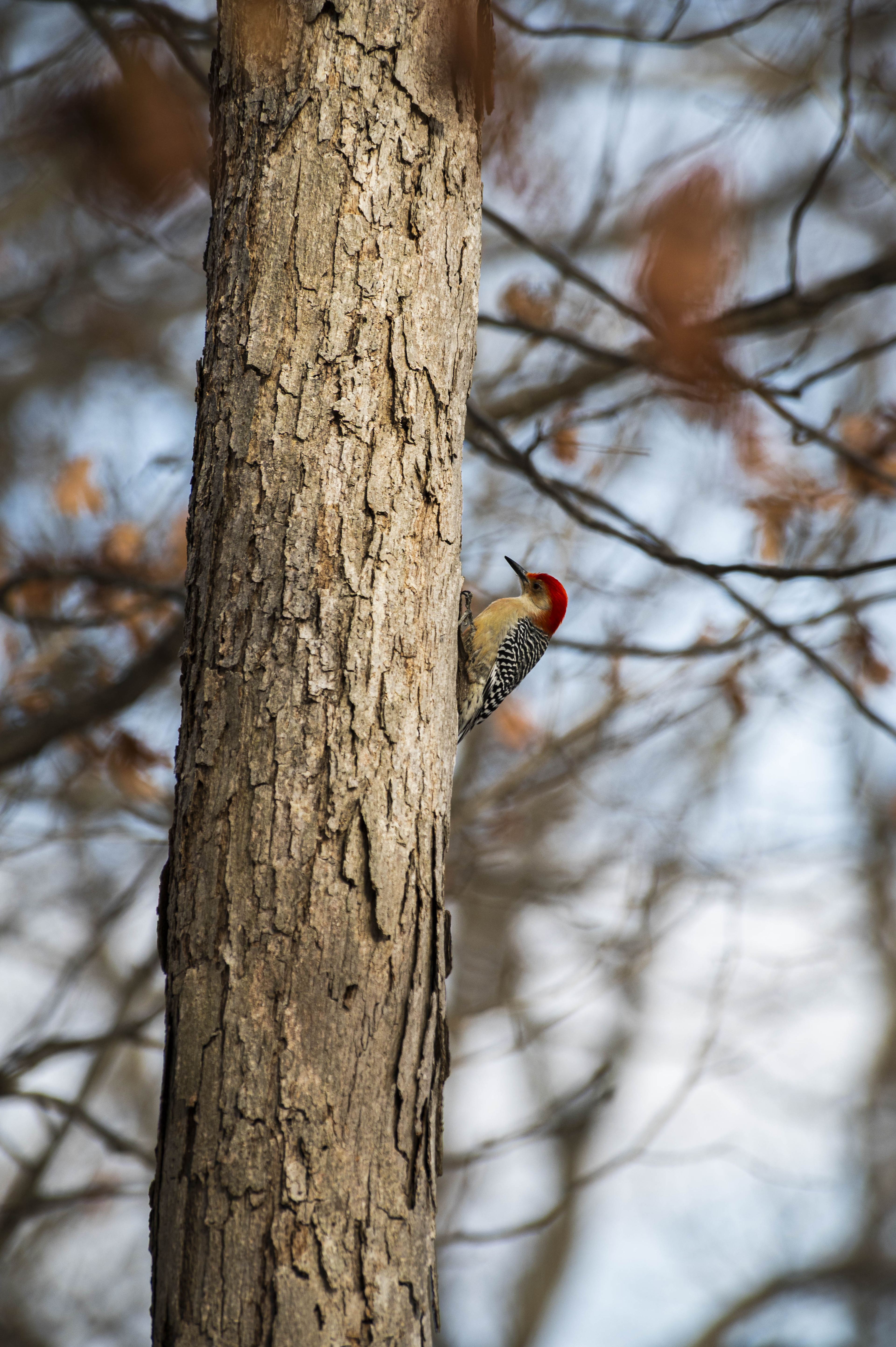 Nature and Wildlife photograph 25