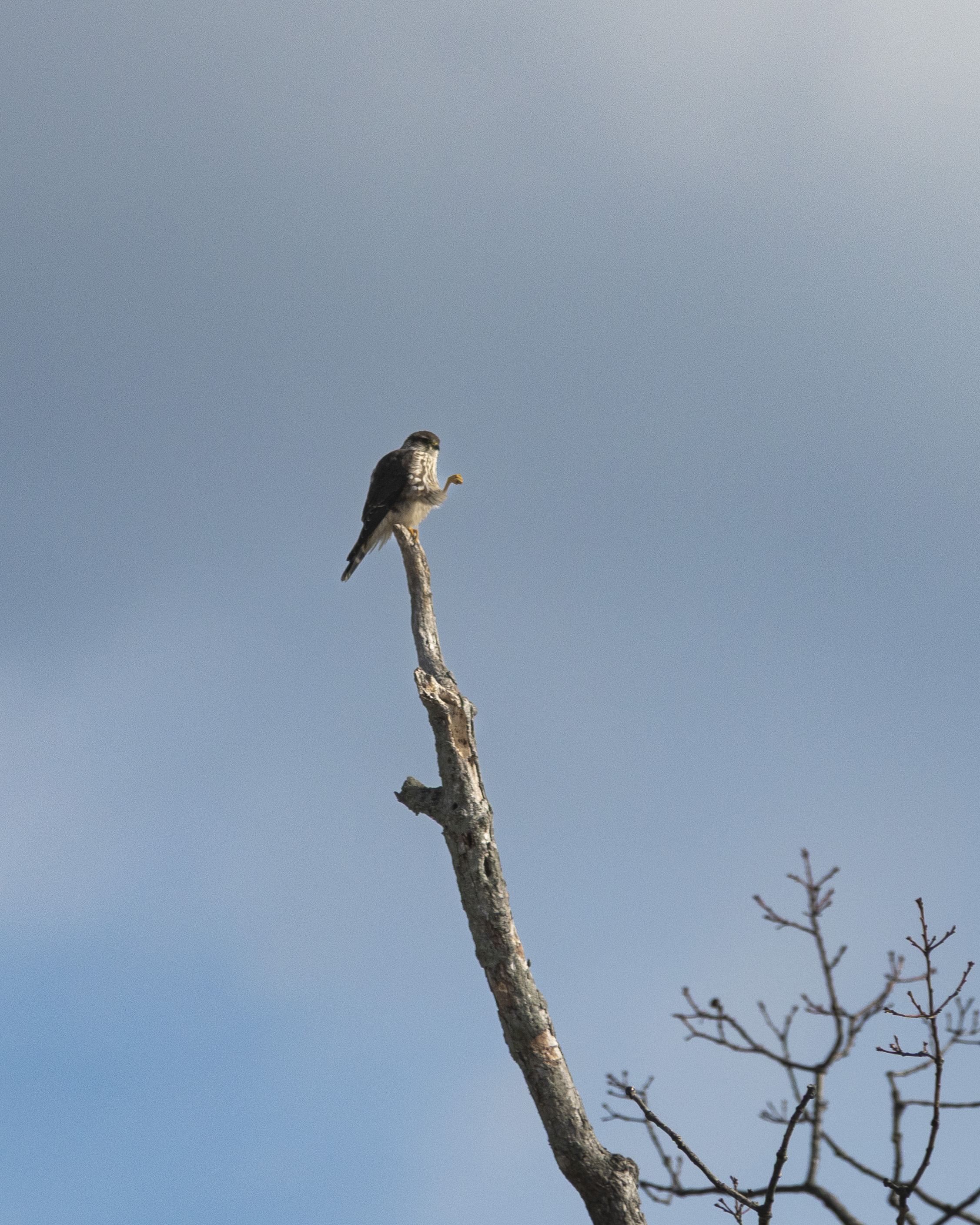 Nature and Wildlife photograph 26