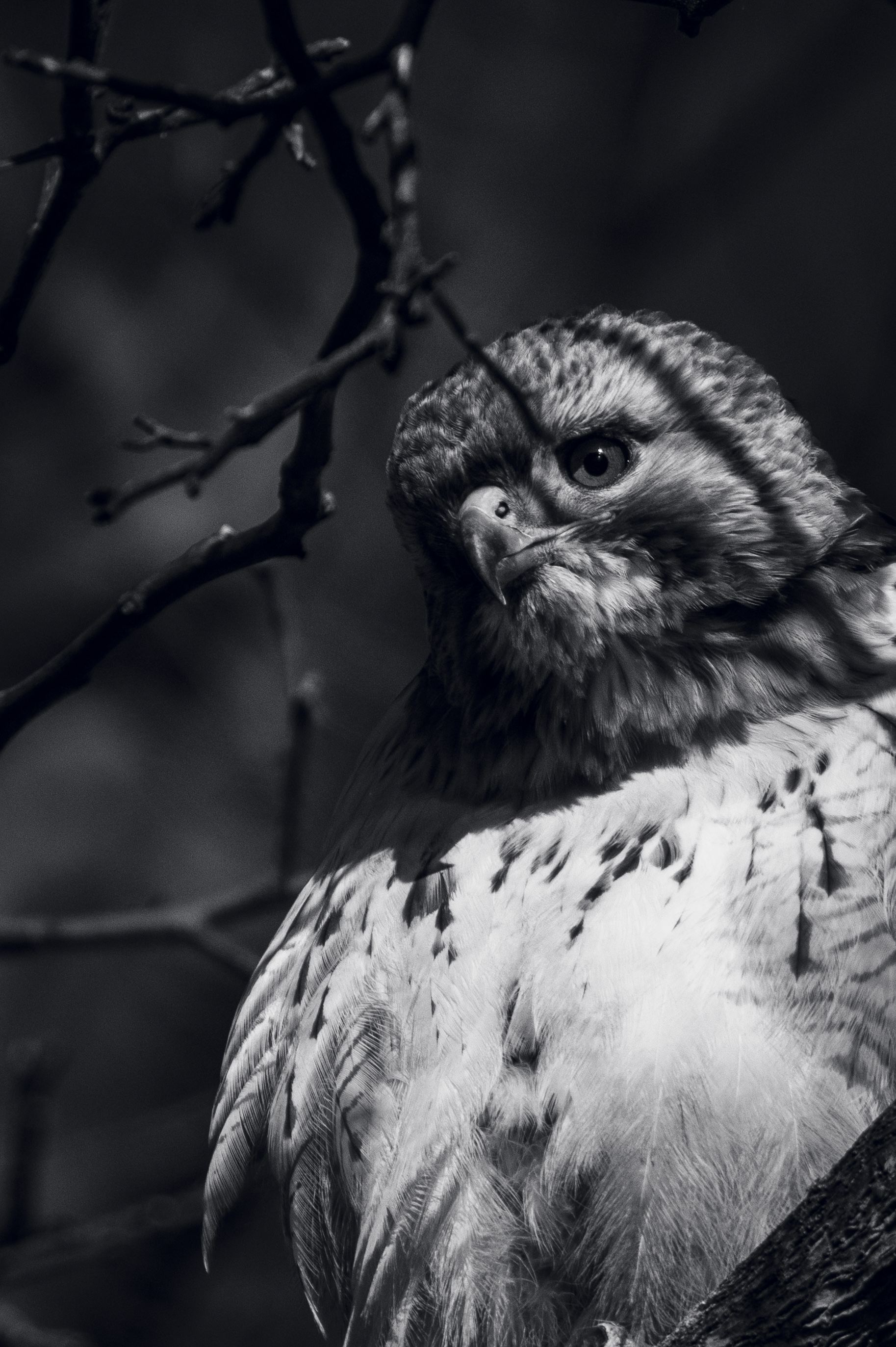 Nature and Wildlife photograph 28