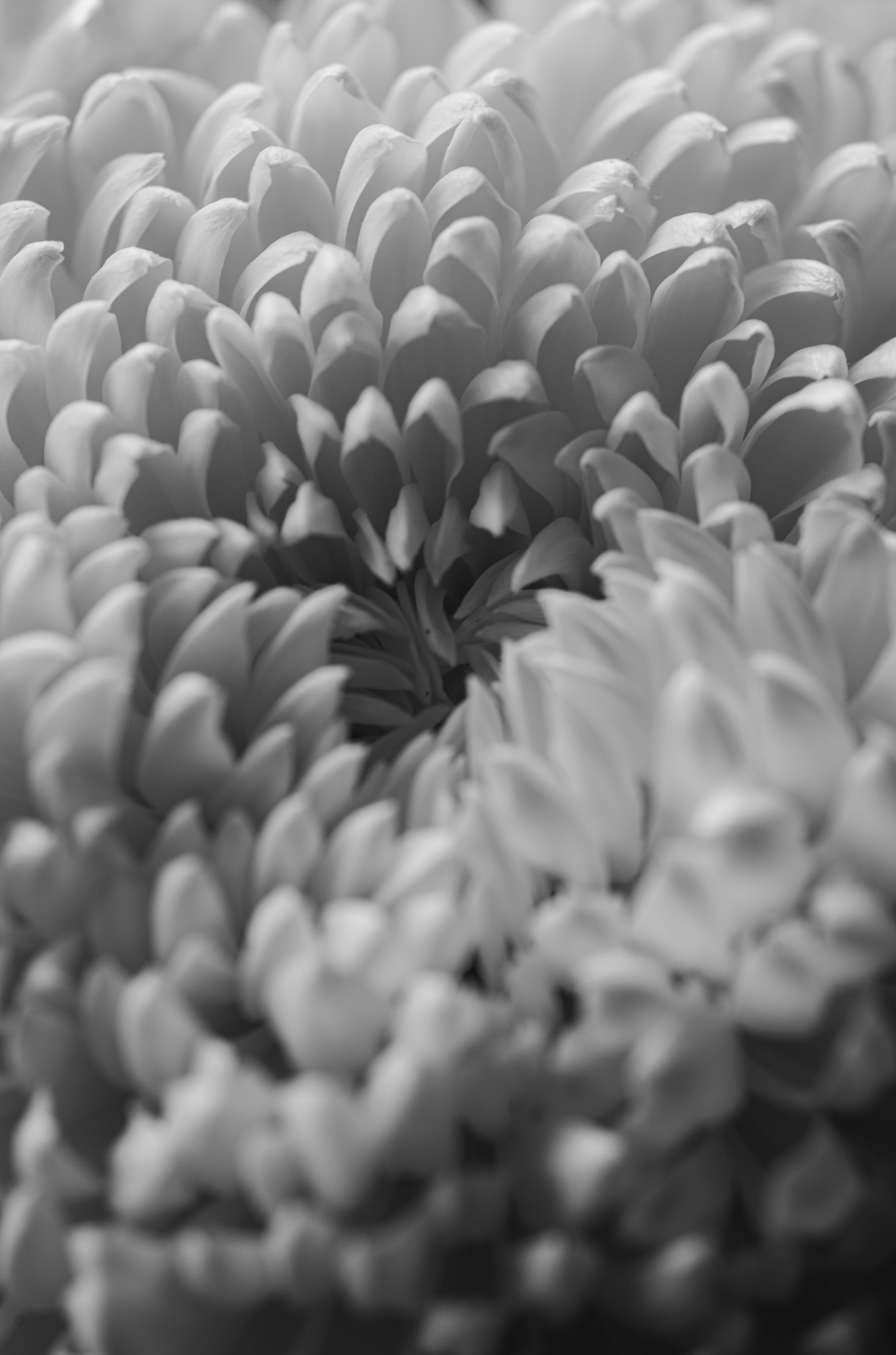 Nature and Wildlife photograph 29