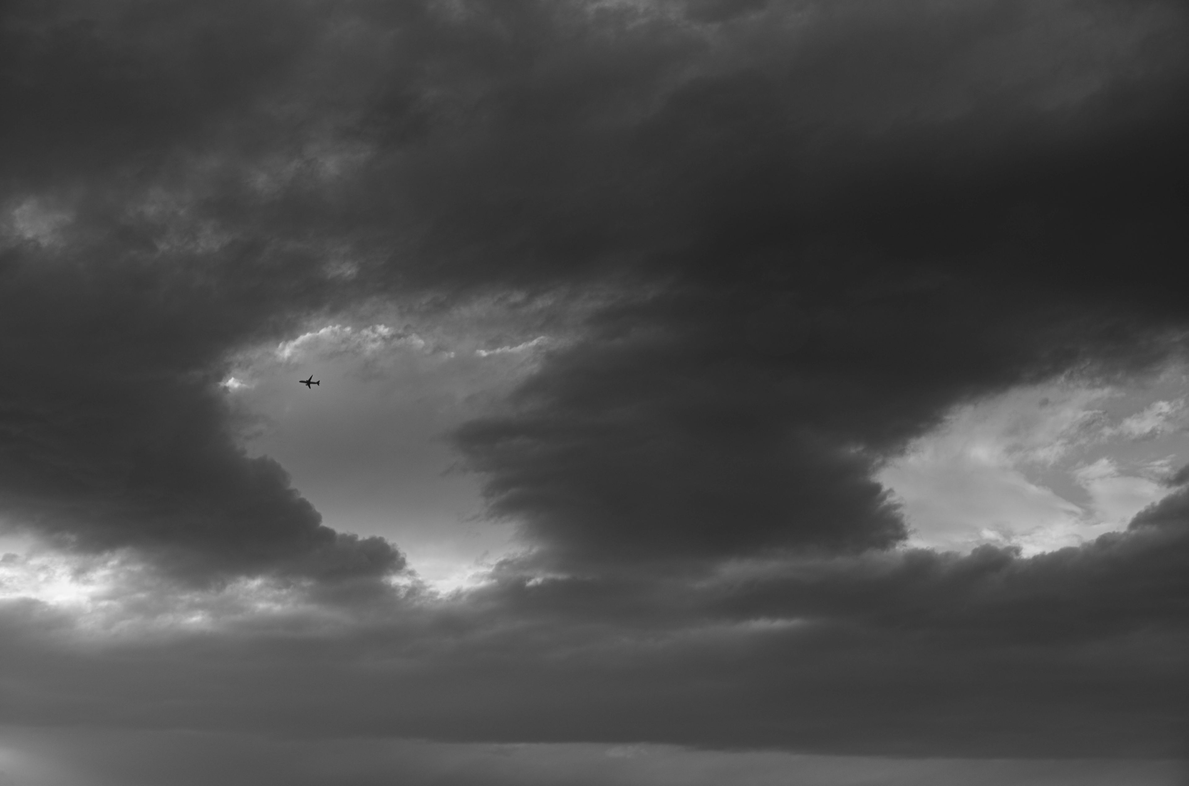 Nature and Wildlife photograph 3