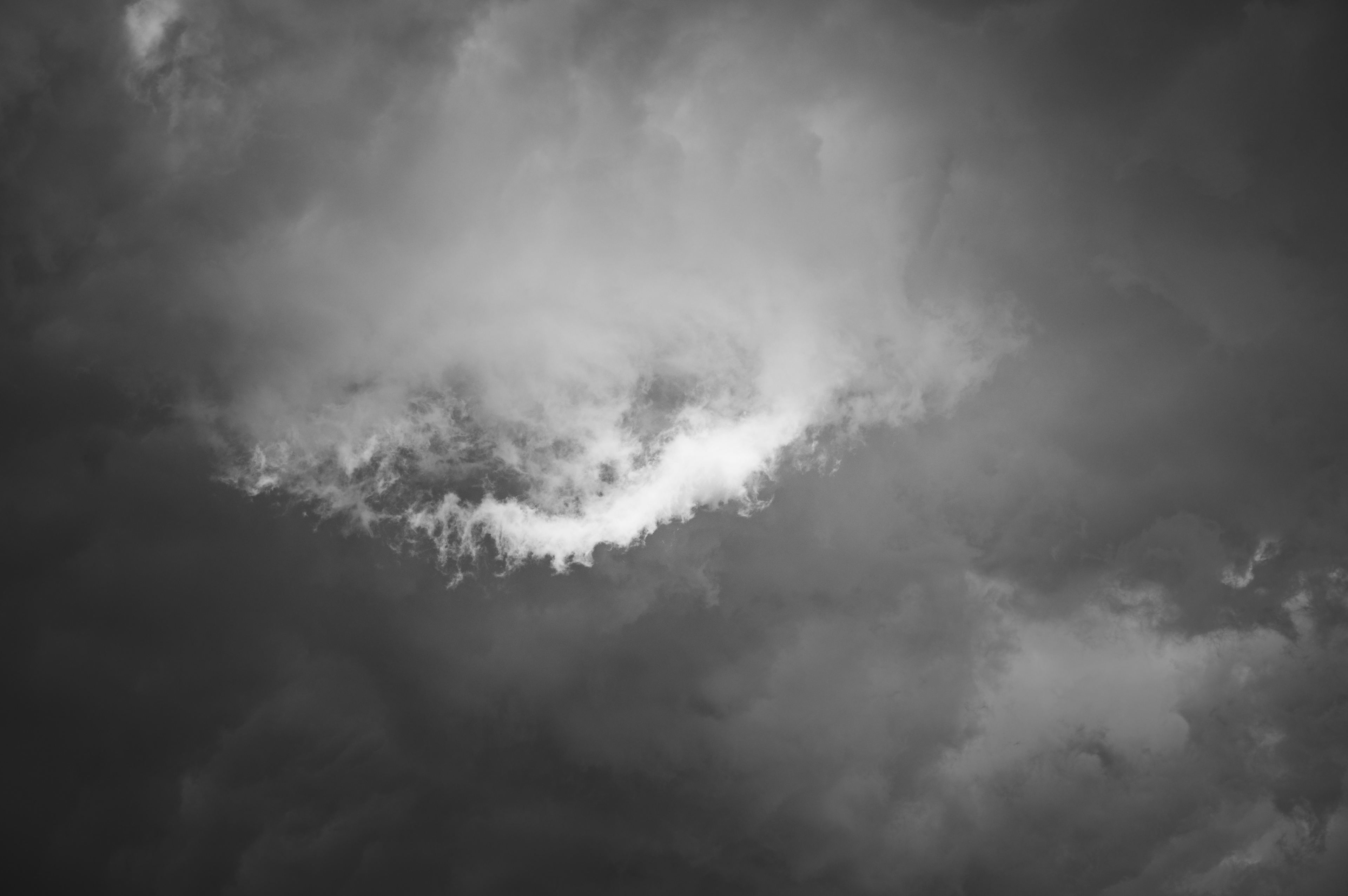 Nature and Wildlife photograph 30