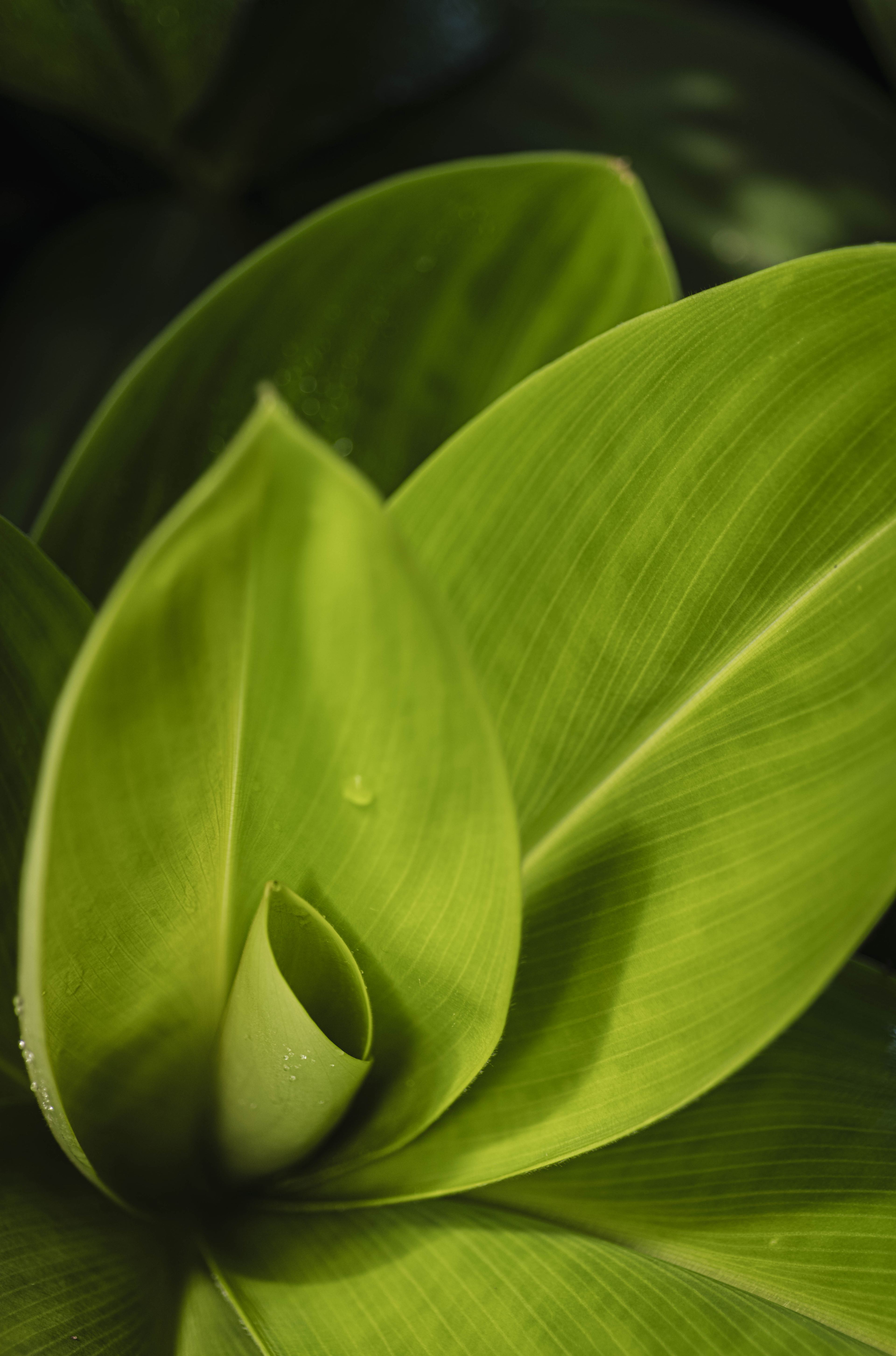 Nature and Wildlife photograph 36