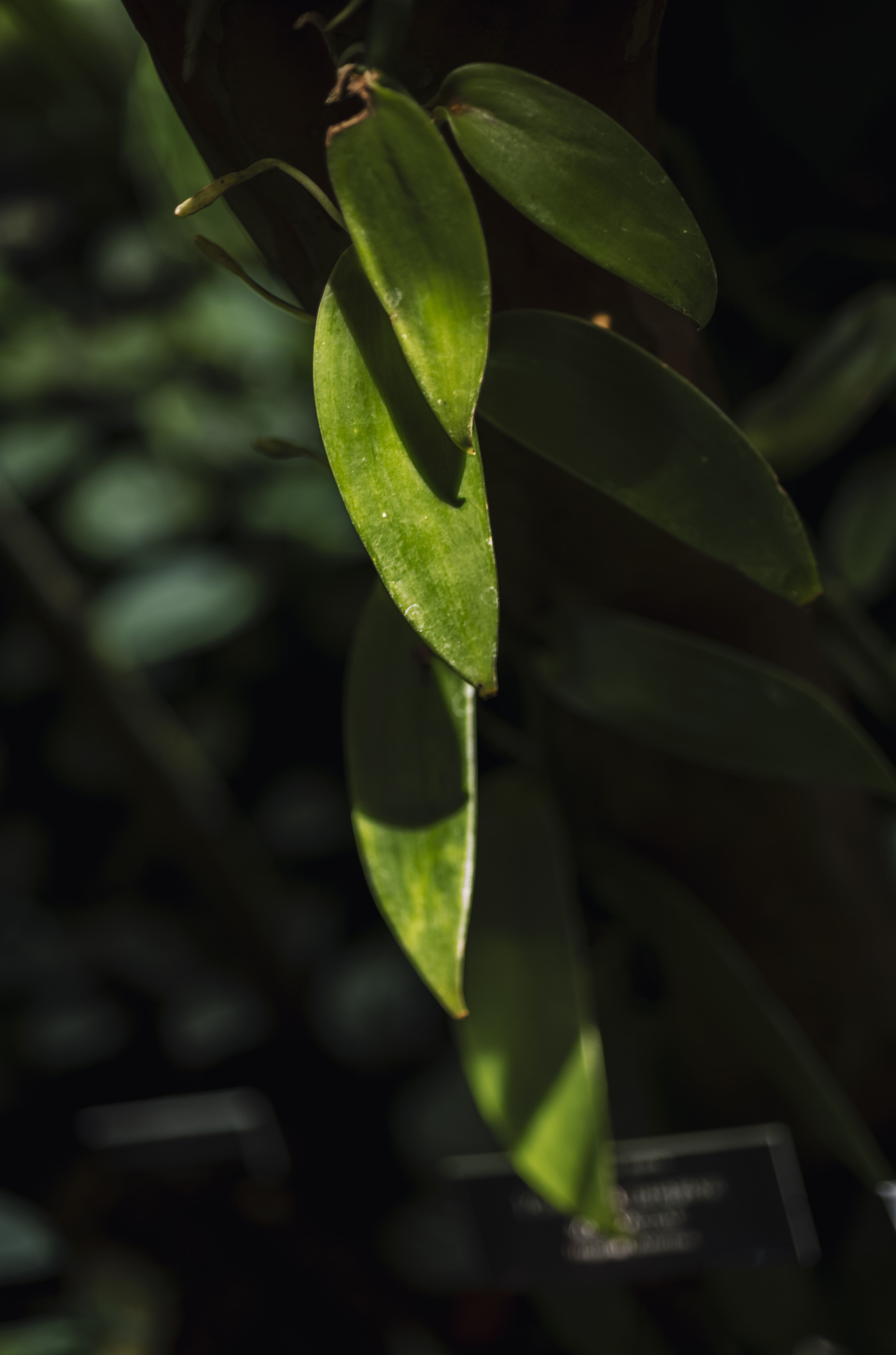 Nature and Wildlife photograph 37