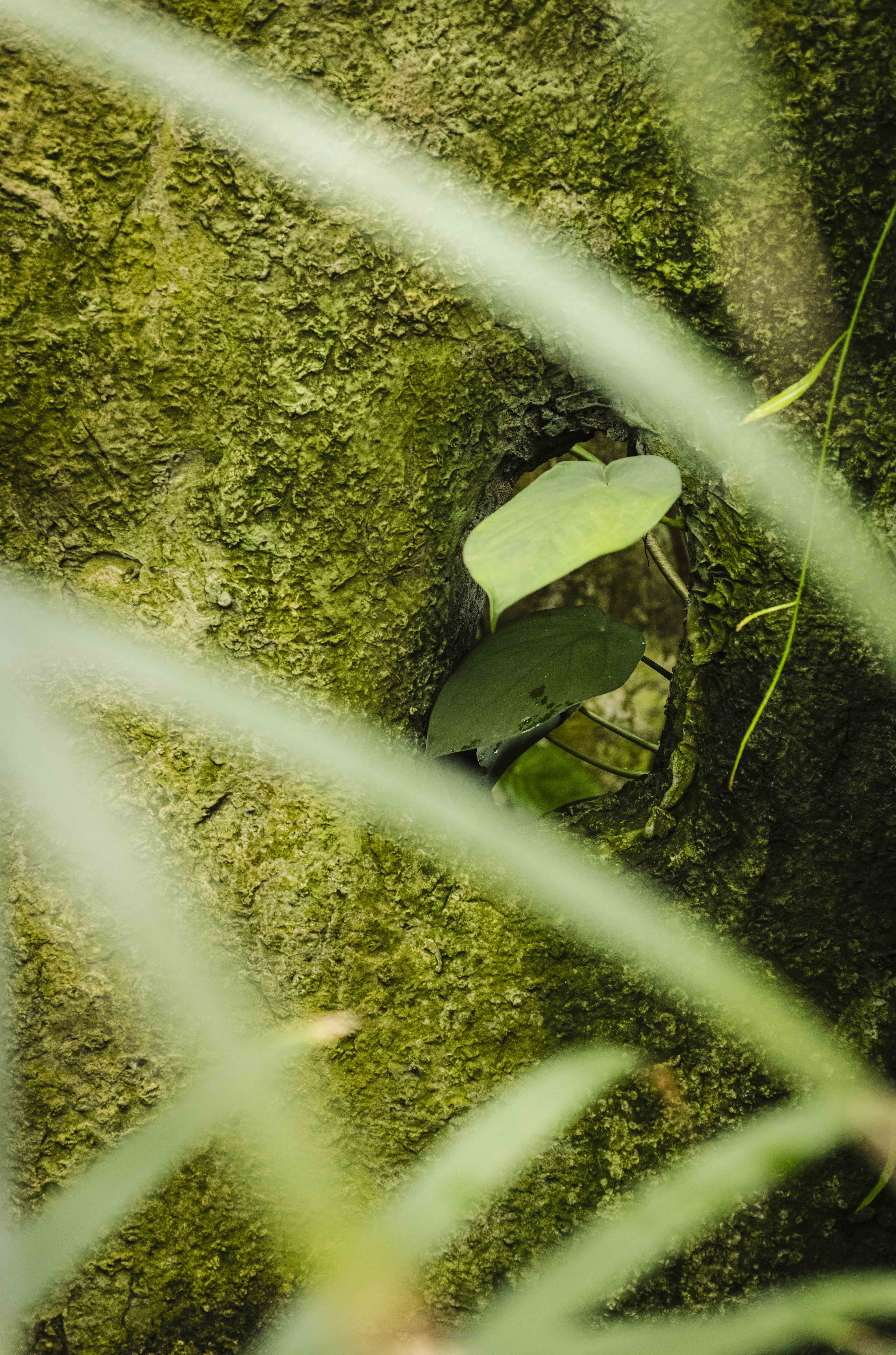 Nature and Wildlife photograph 38