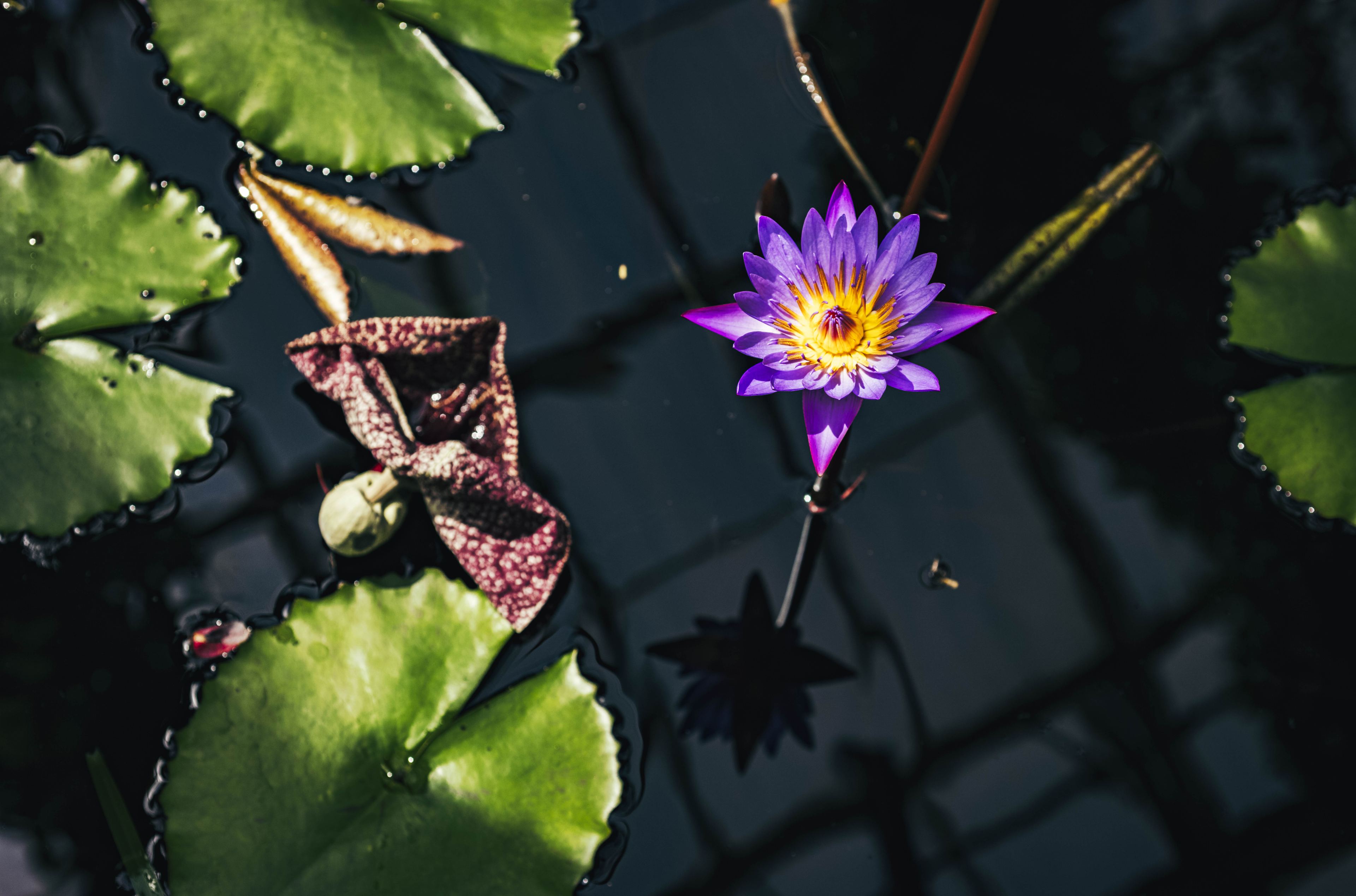 Nature and Wildlife photograph 39