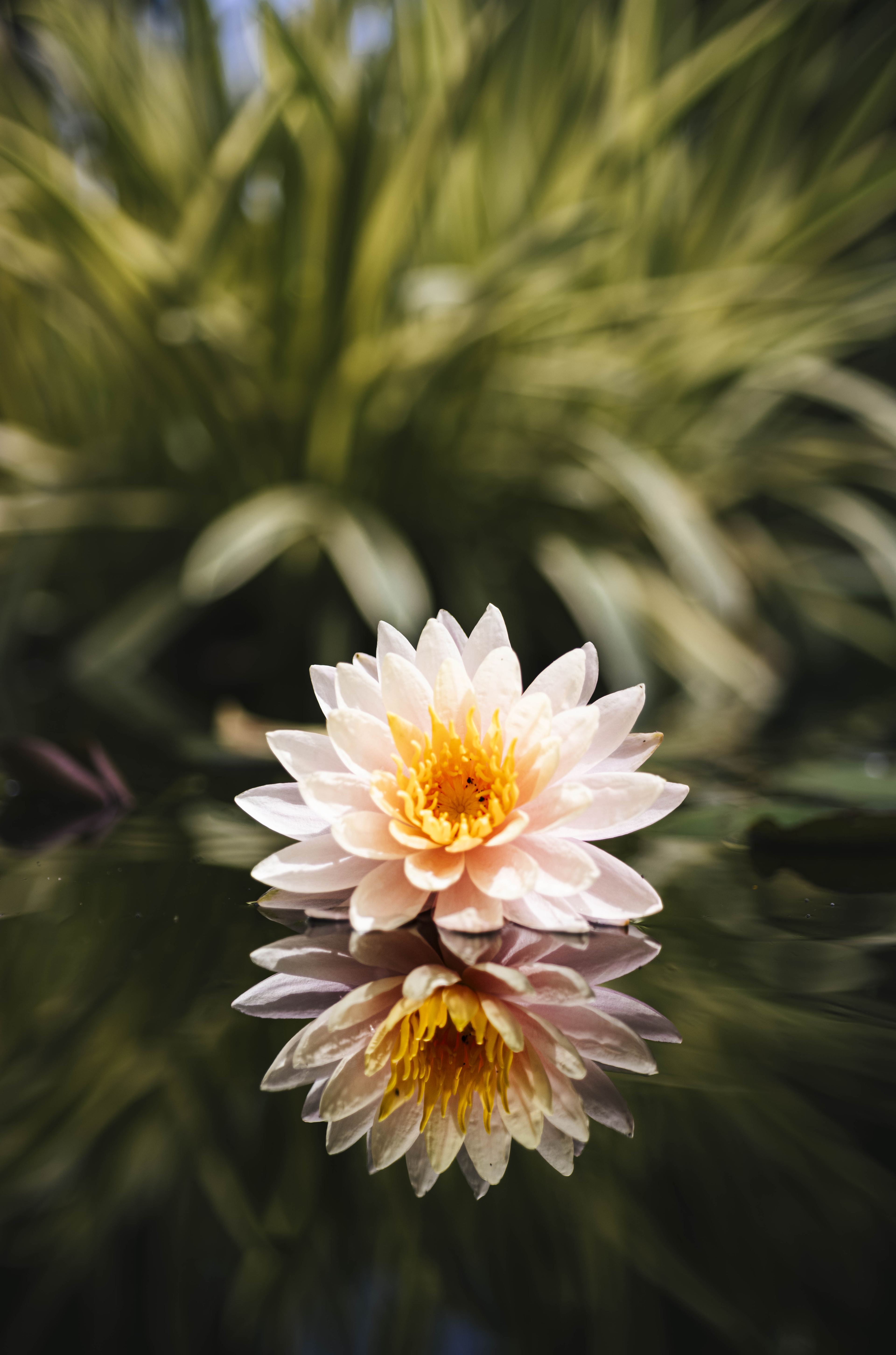 Nature and Wildlife photograph 40
