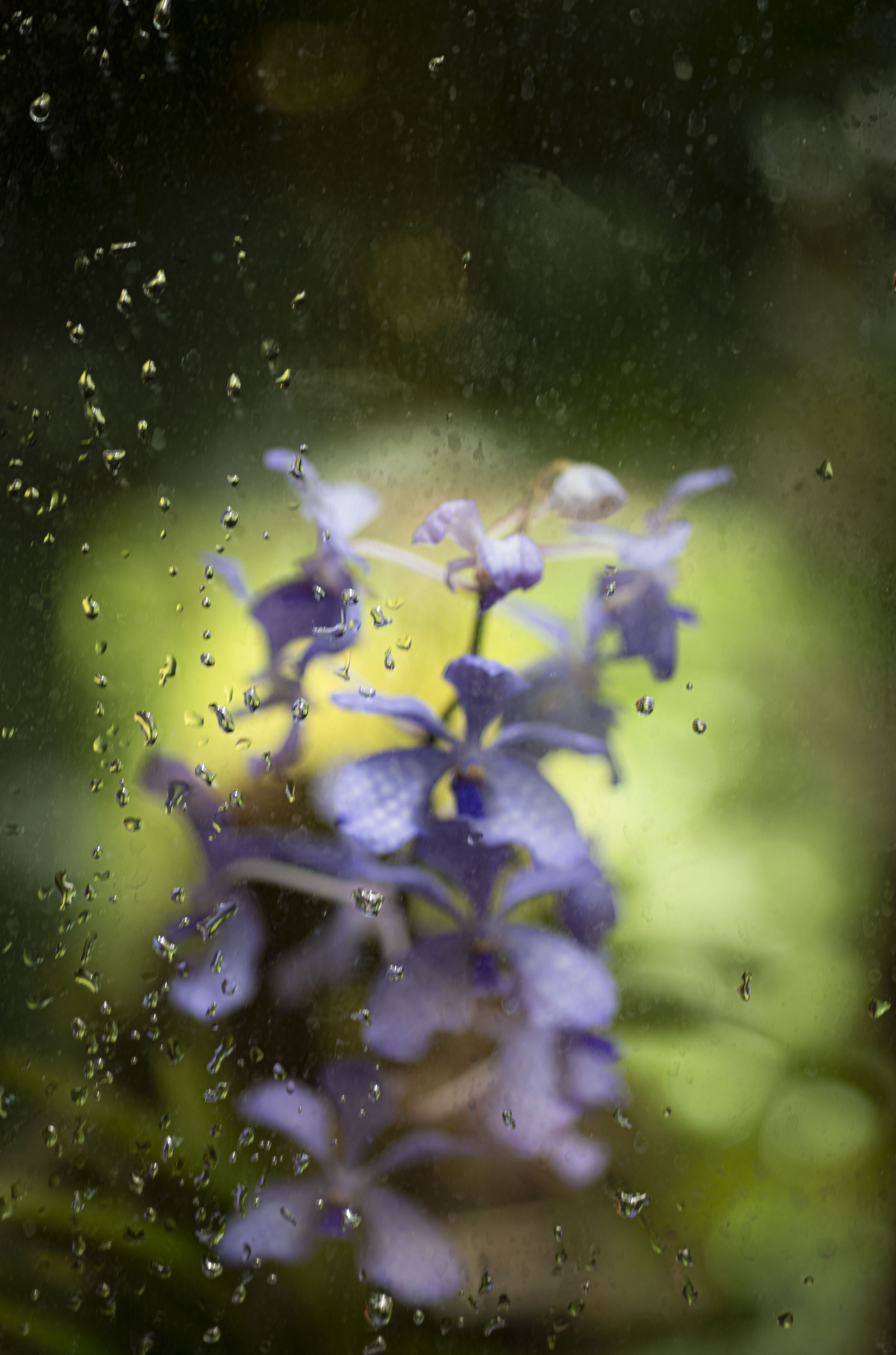 Nature and Wildlife photograph