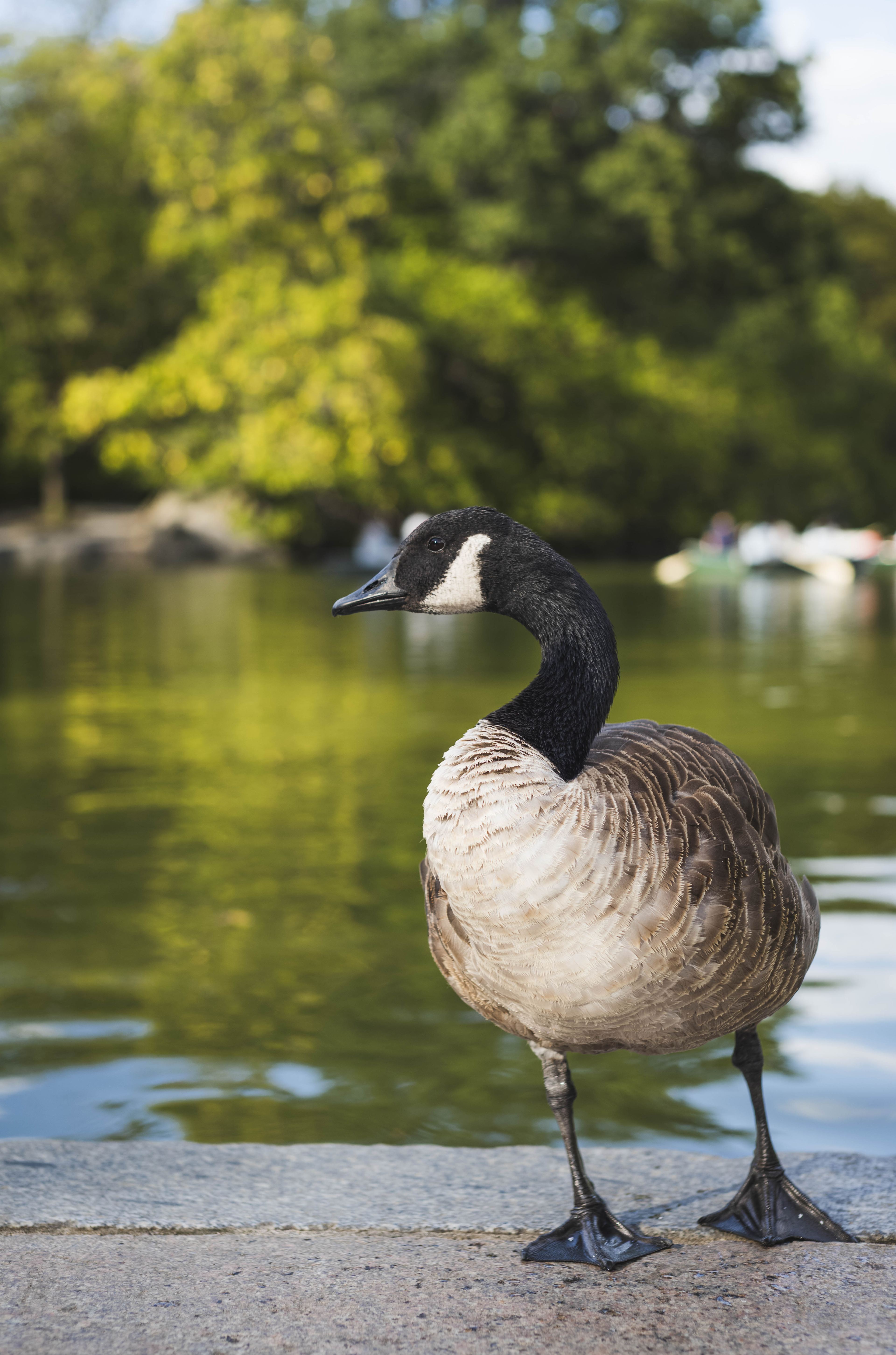 Nature and Wildlife photograph 44
