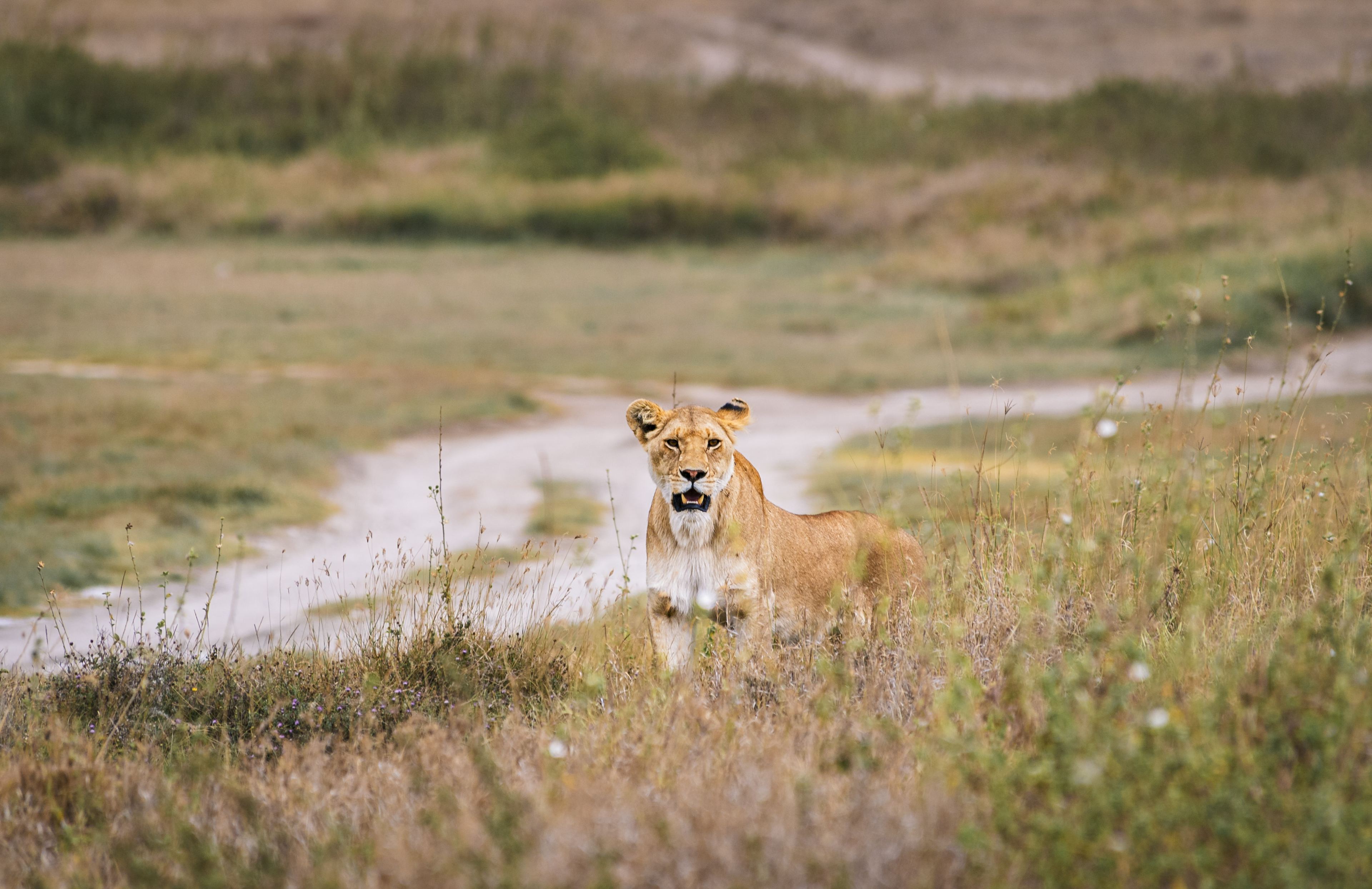 Nature and Wildlife photograph 8