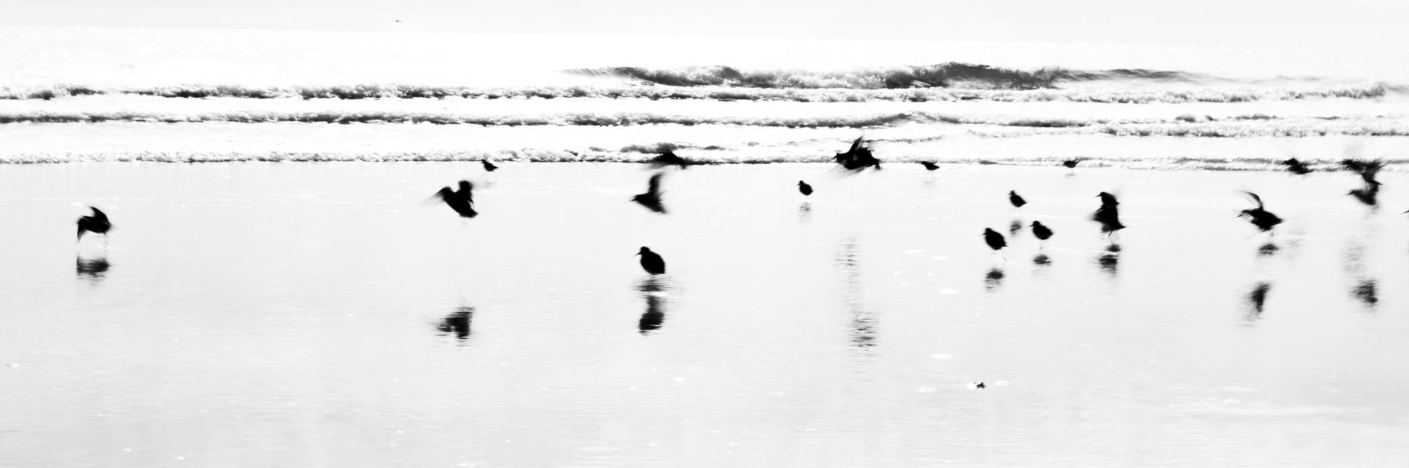 Nature and Wildlife photograph