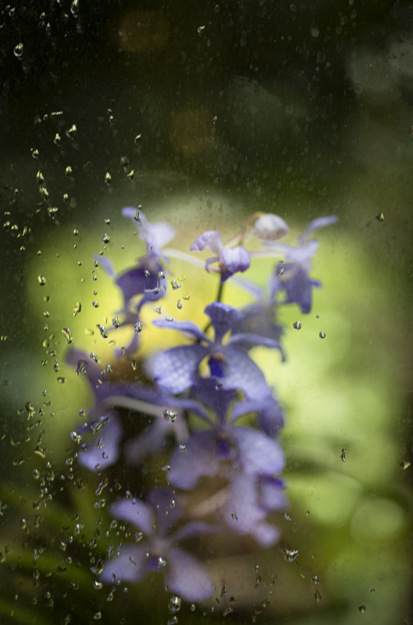 Nature and Wildlife photograph