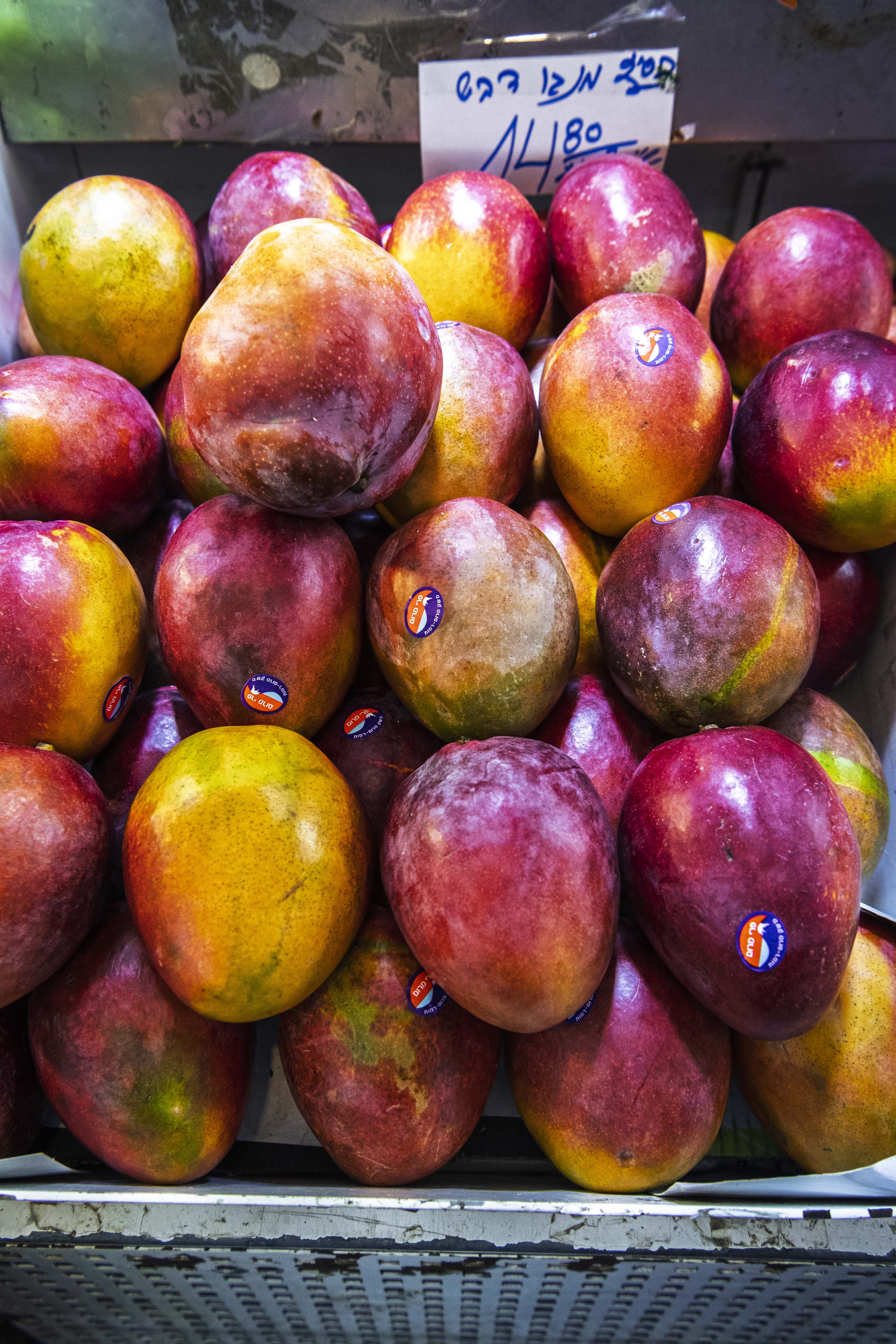 Still Lifes and Food photograph 13