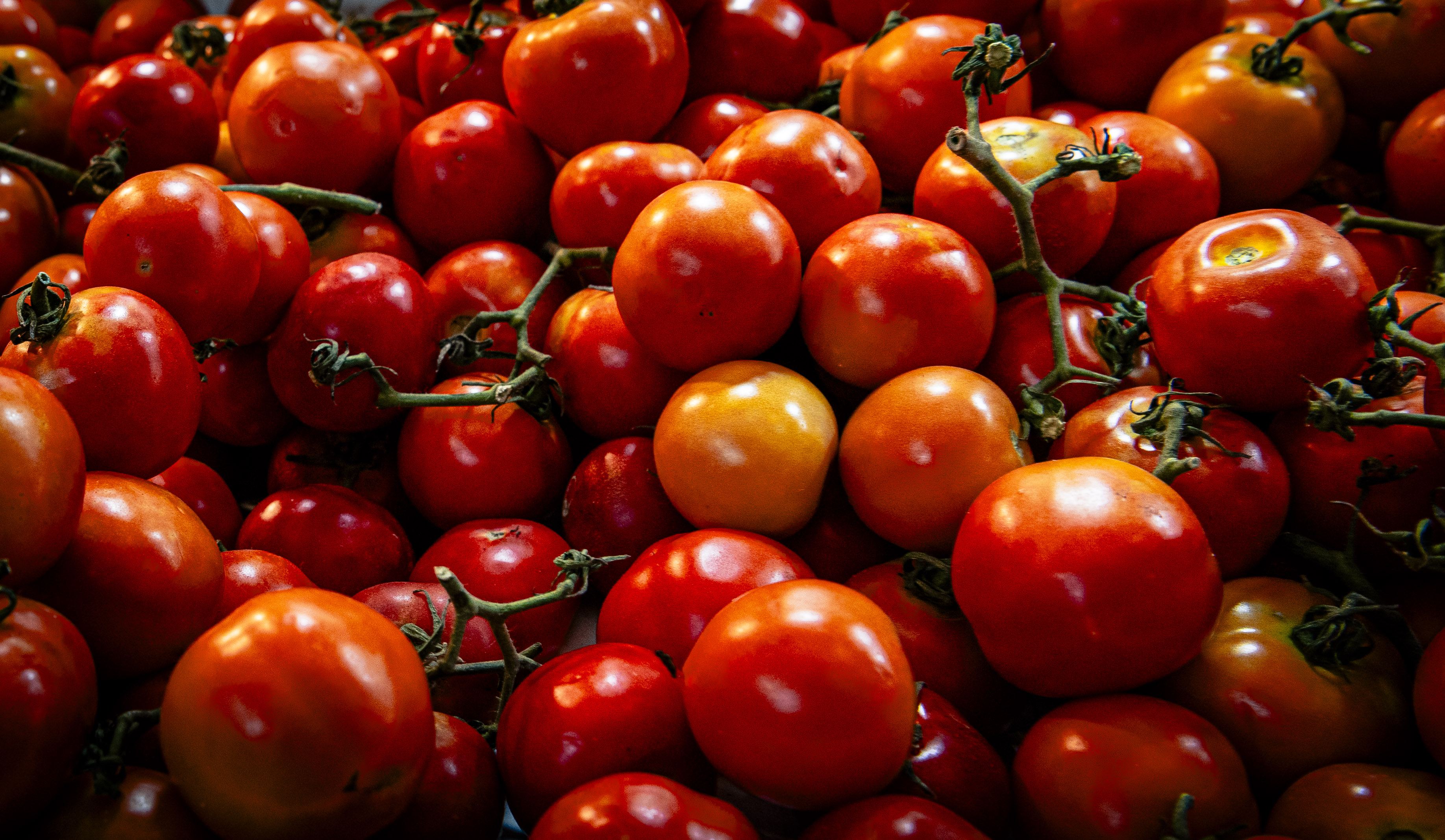 Still Lifes and Food photograph 14