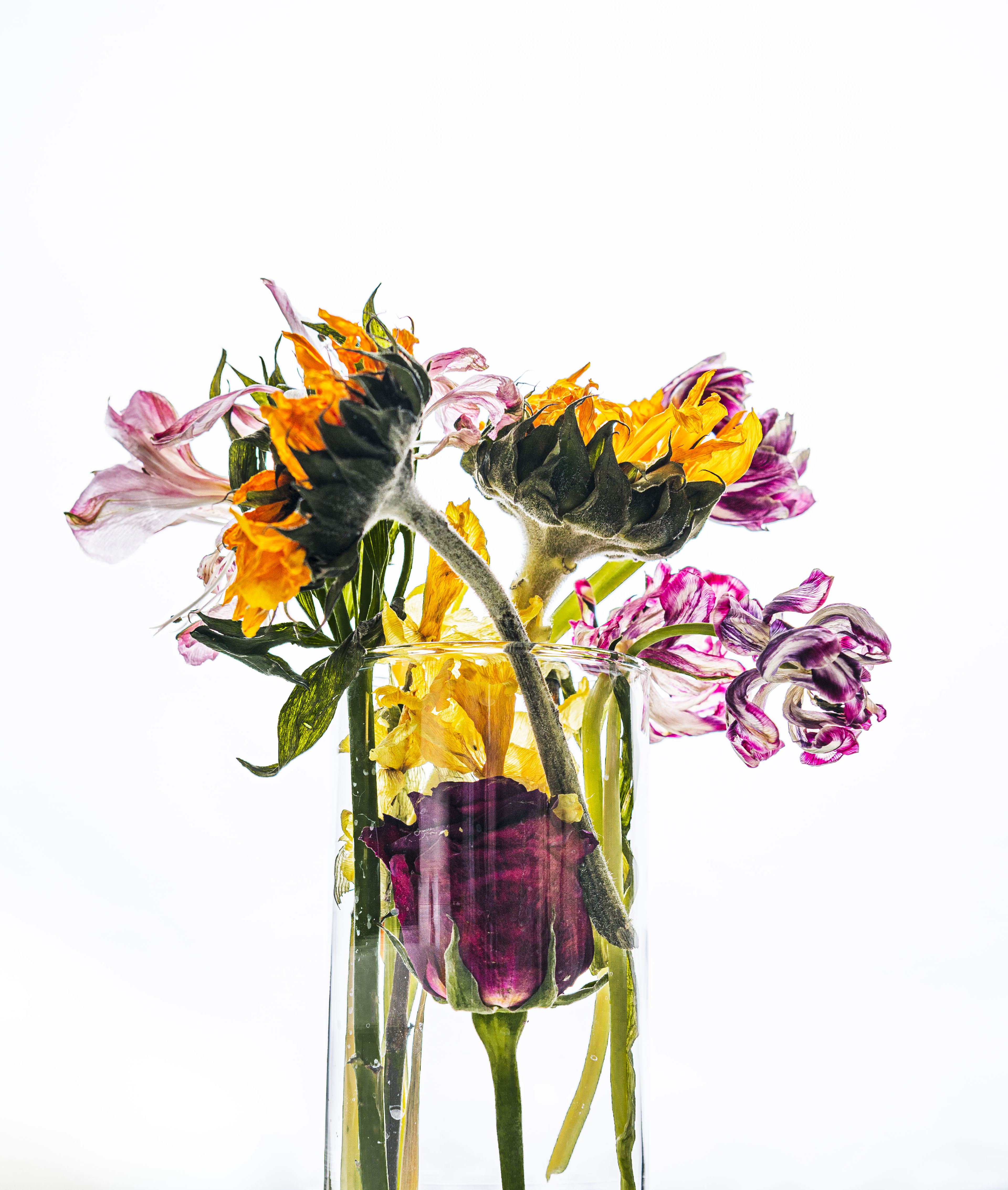 Still Lifes and Food photograph 27
