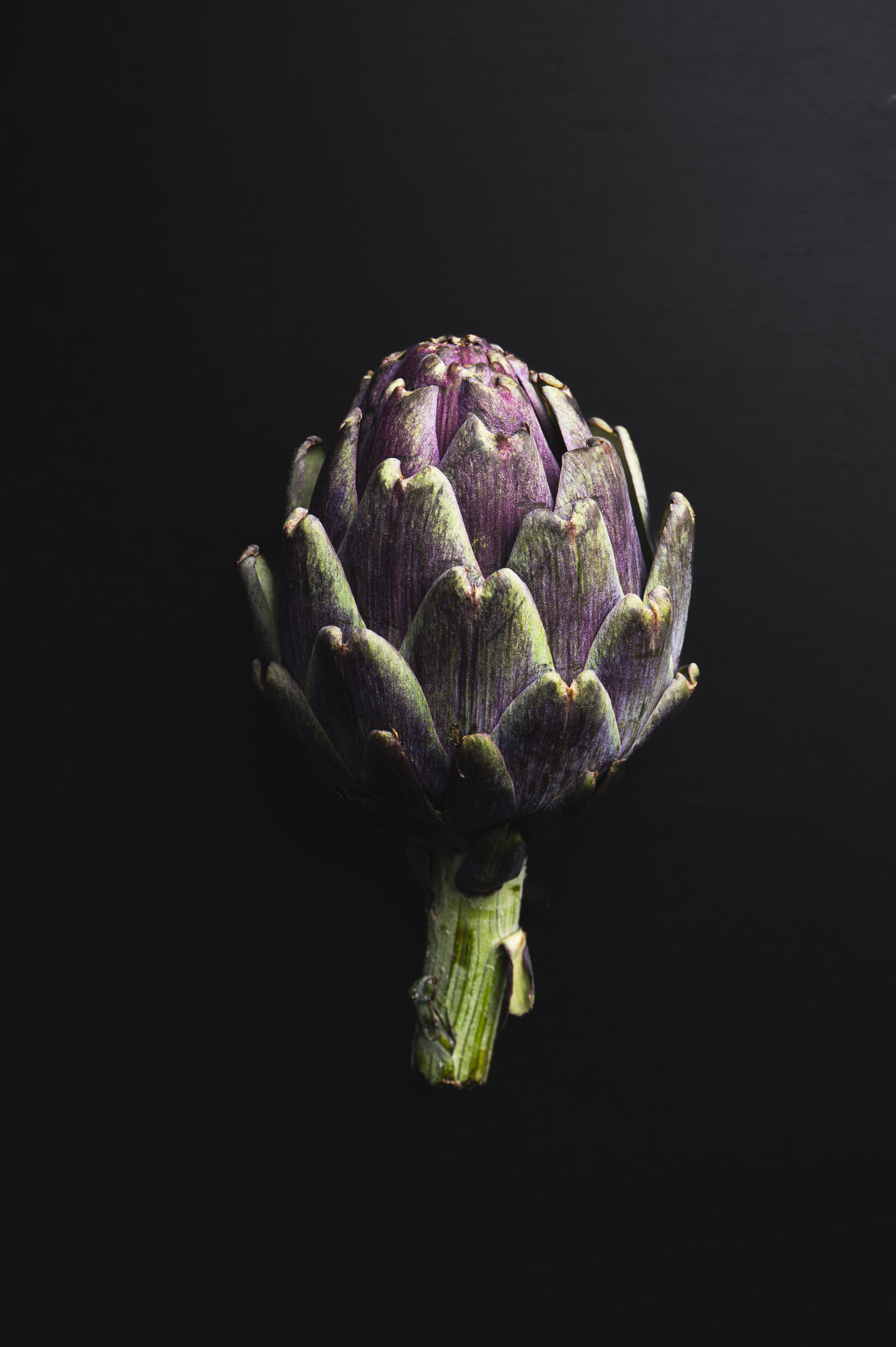 Still Lifes and Food photograph 28