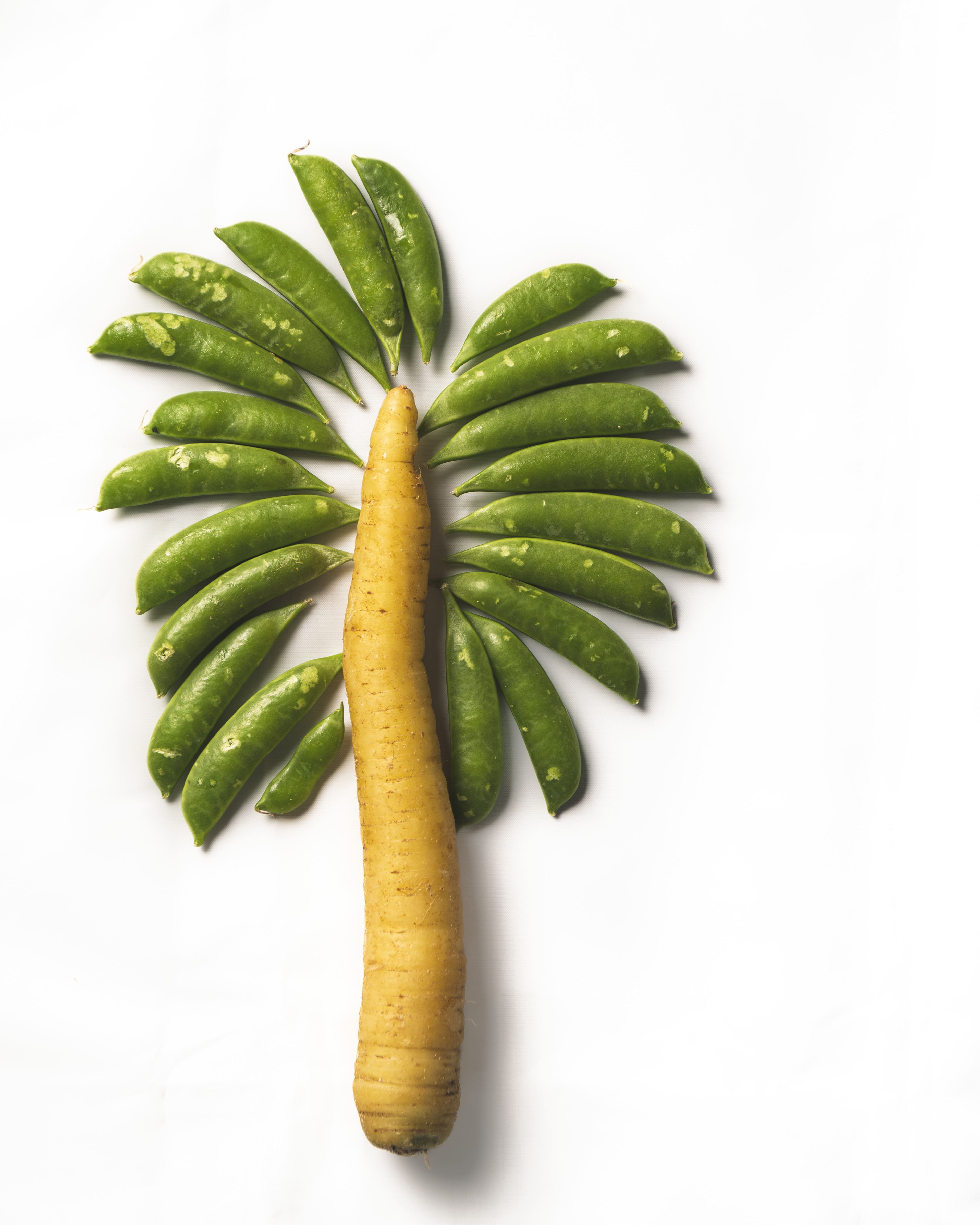Still Lifes and Food photograph 37