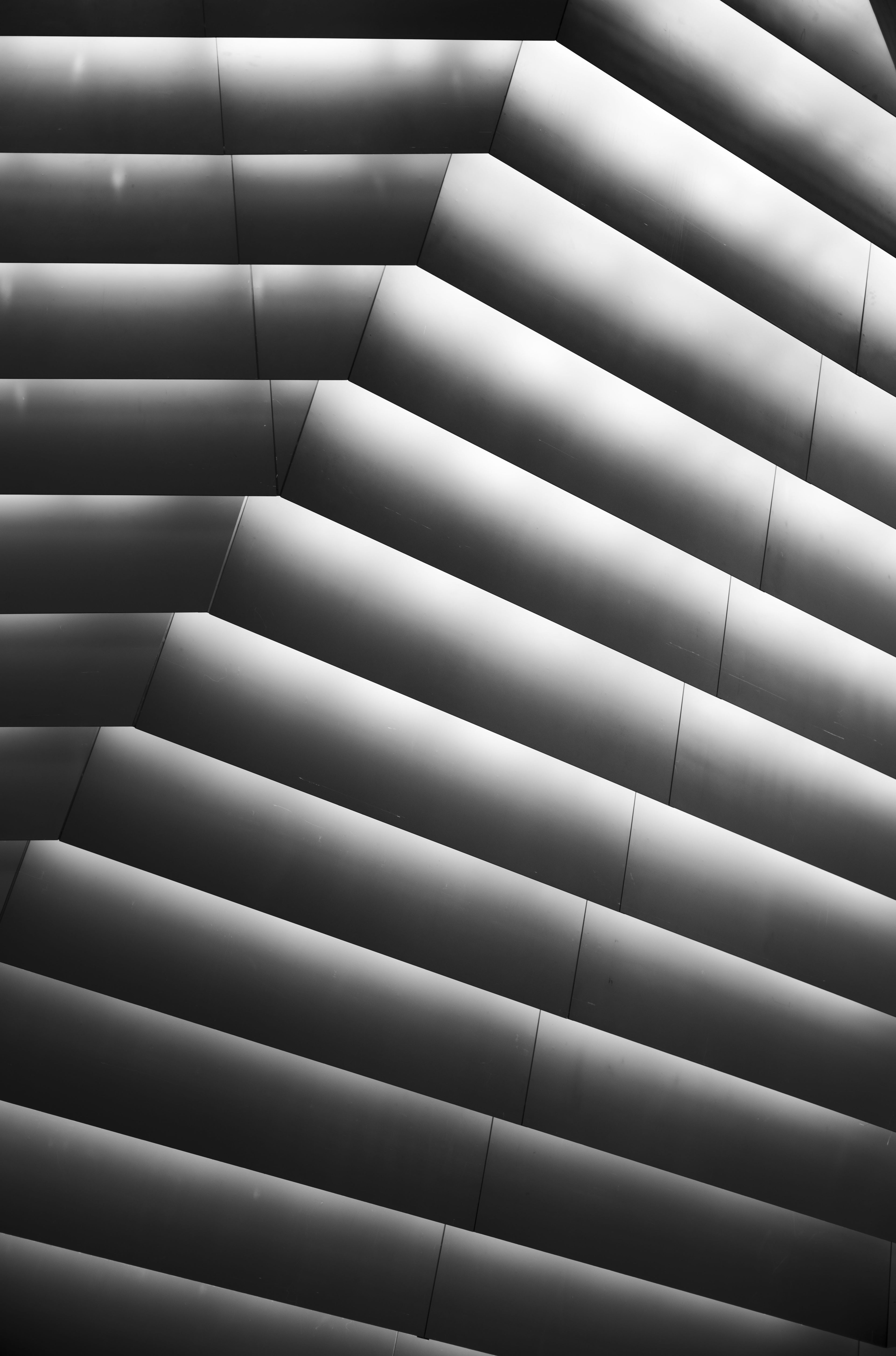 Street photograph 10