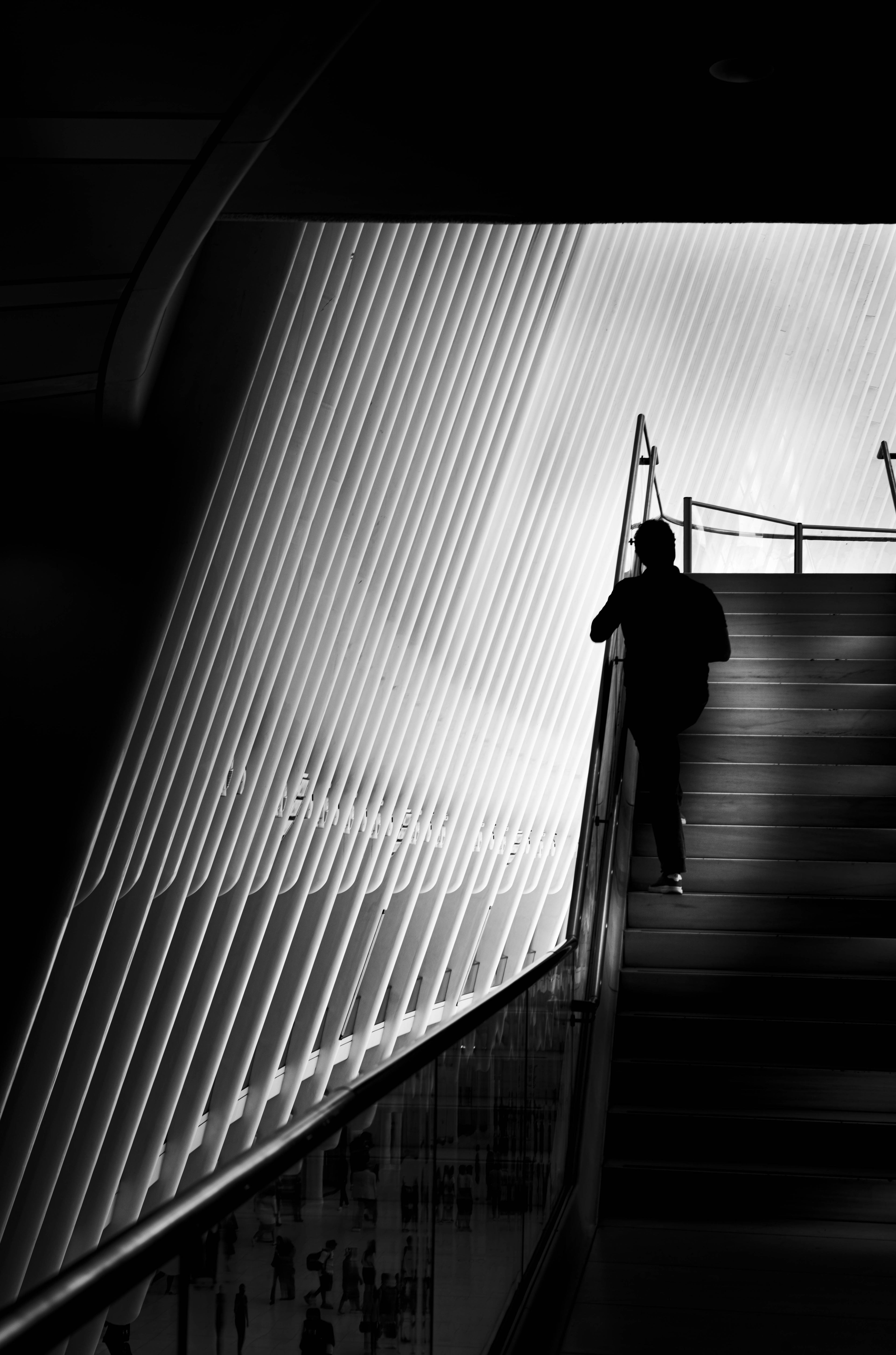 Street photograph 15